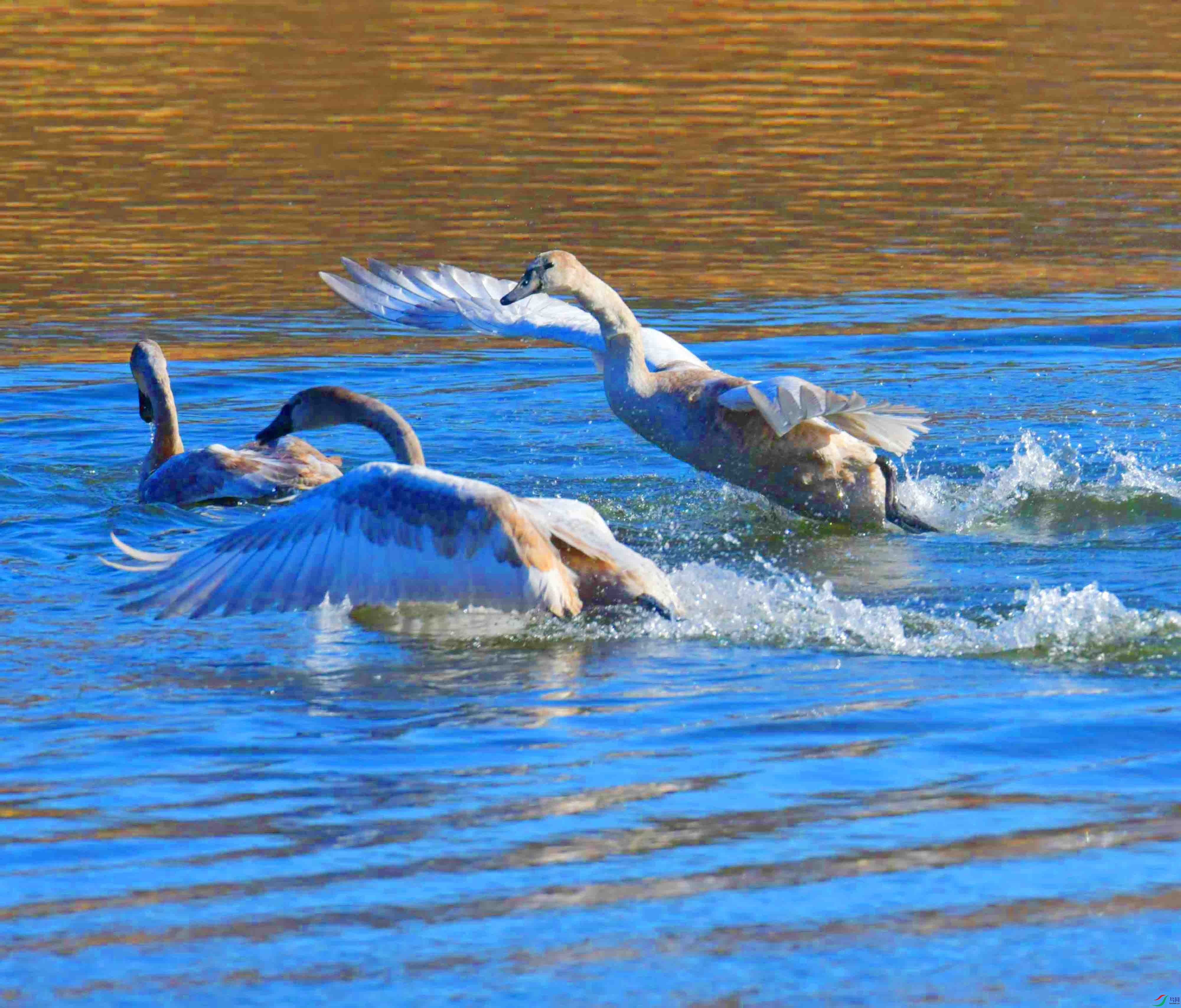 DSC_5473.JPG