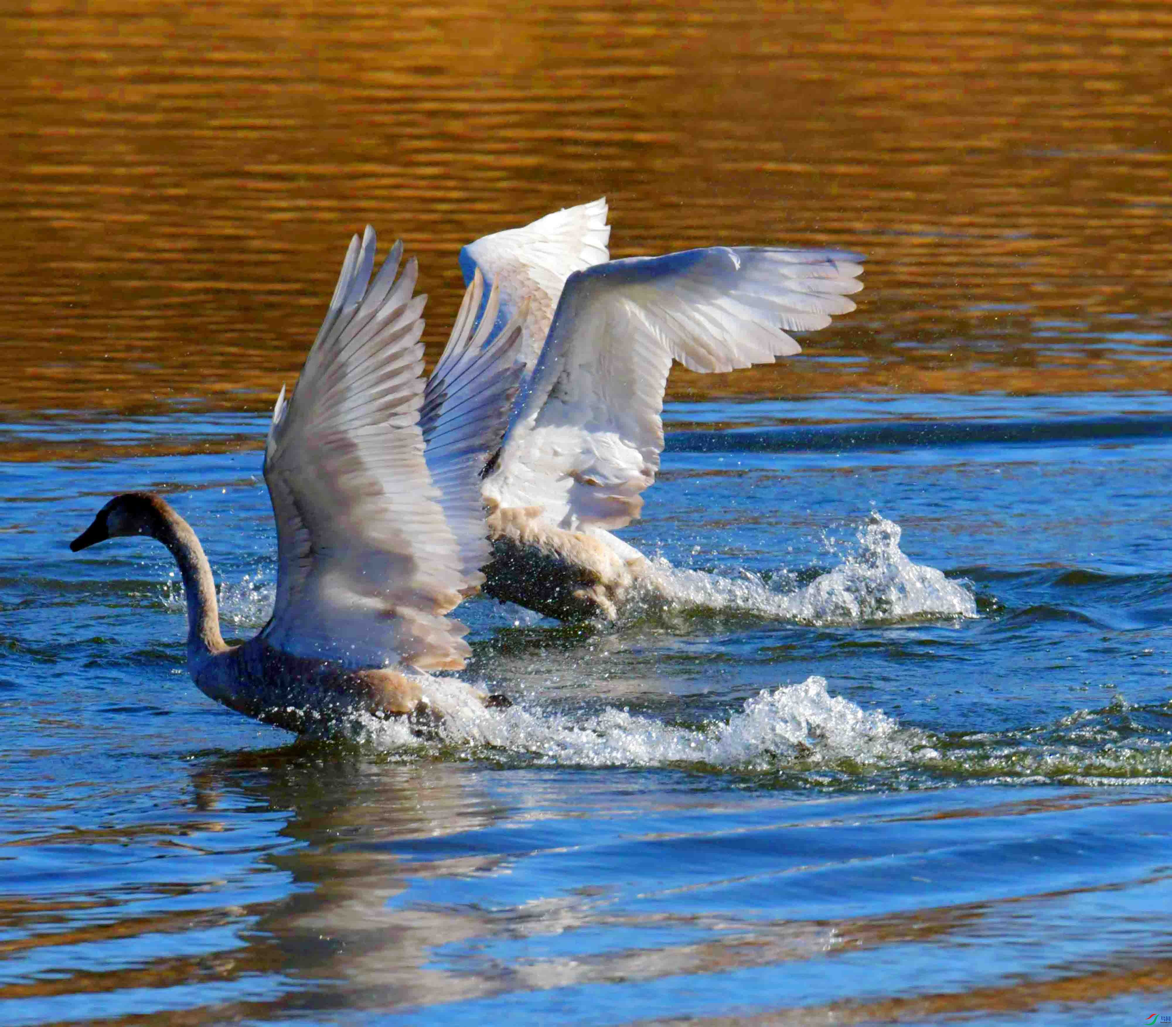 DSC_5472.JPG