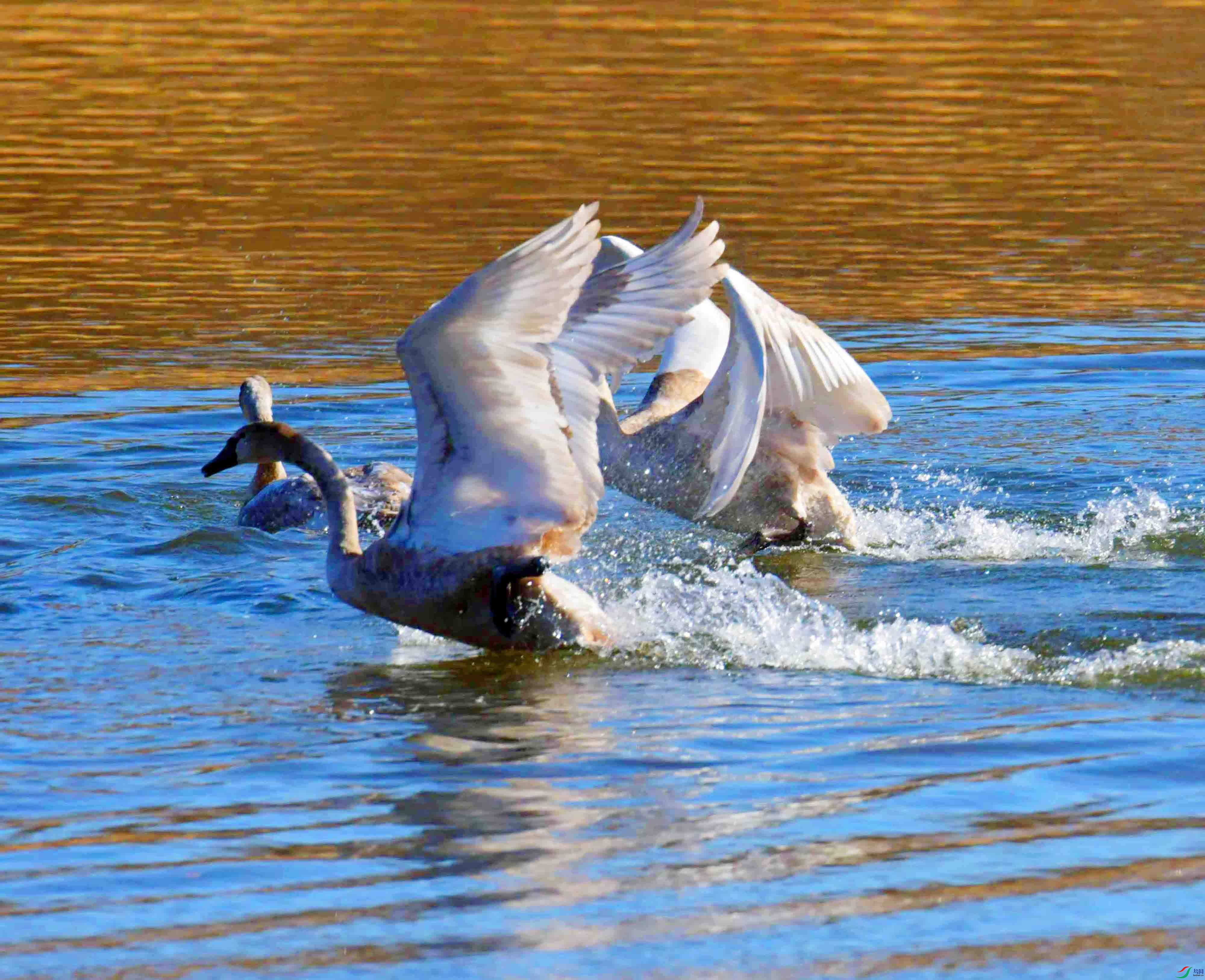 DSC_5474.JPG
