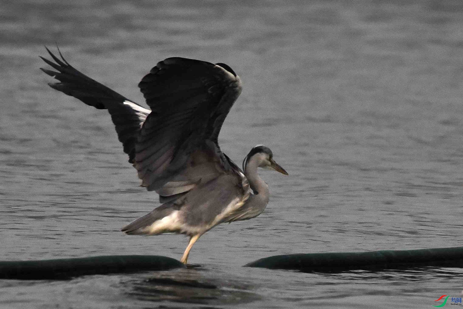DSC_5461.JPG