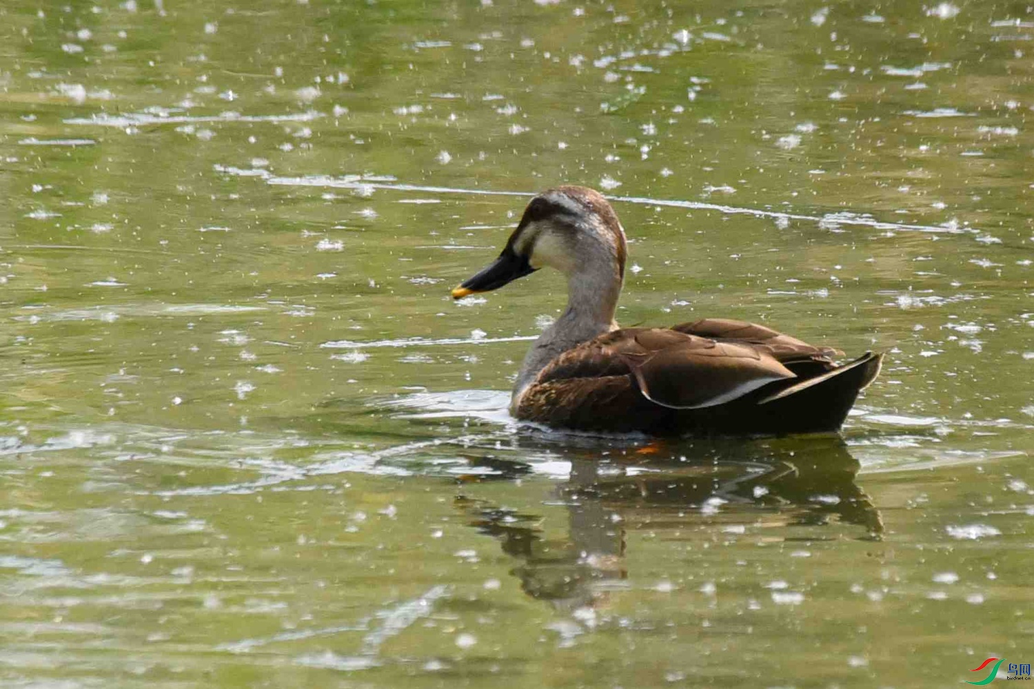 DSC_5956.JPG