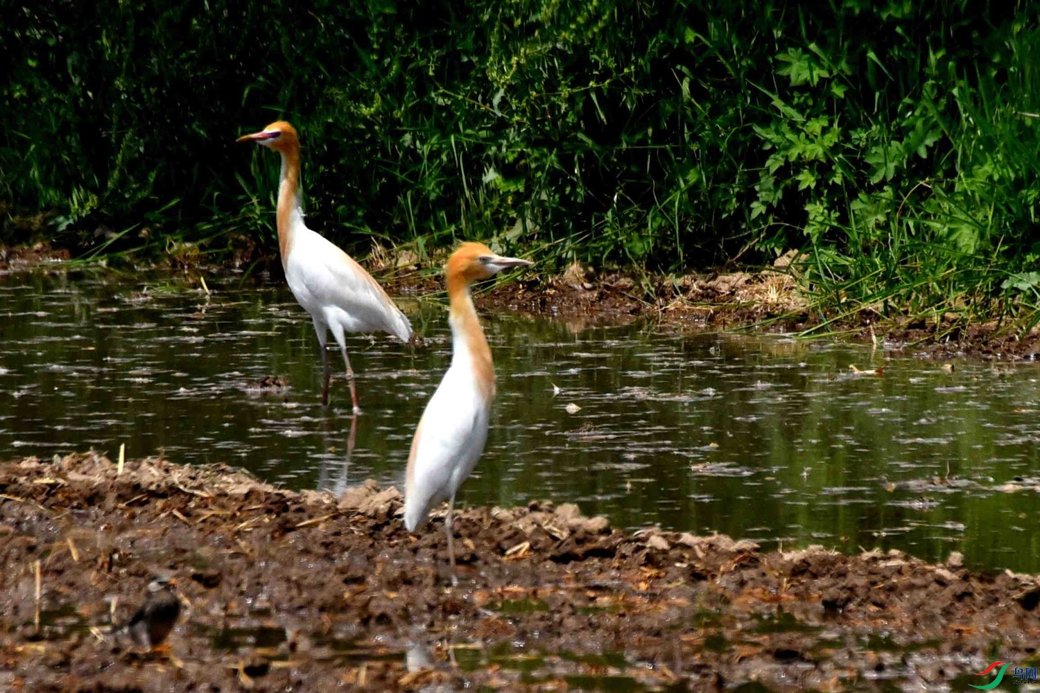 DSC_8057.JPG