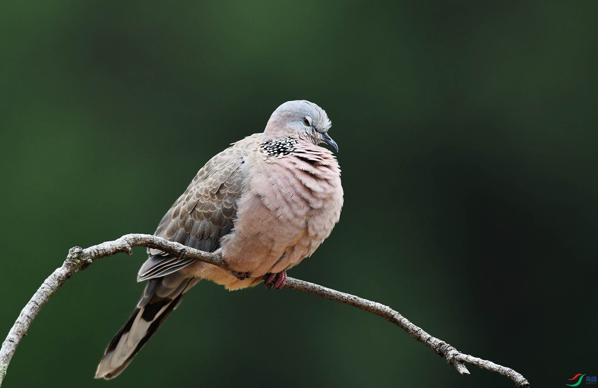 DSC_6855.jpg