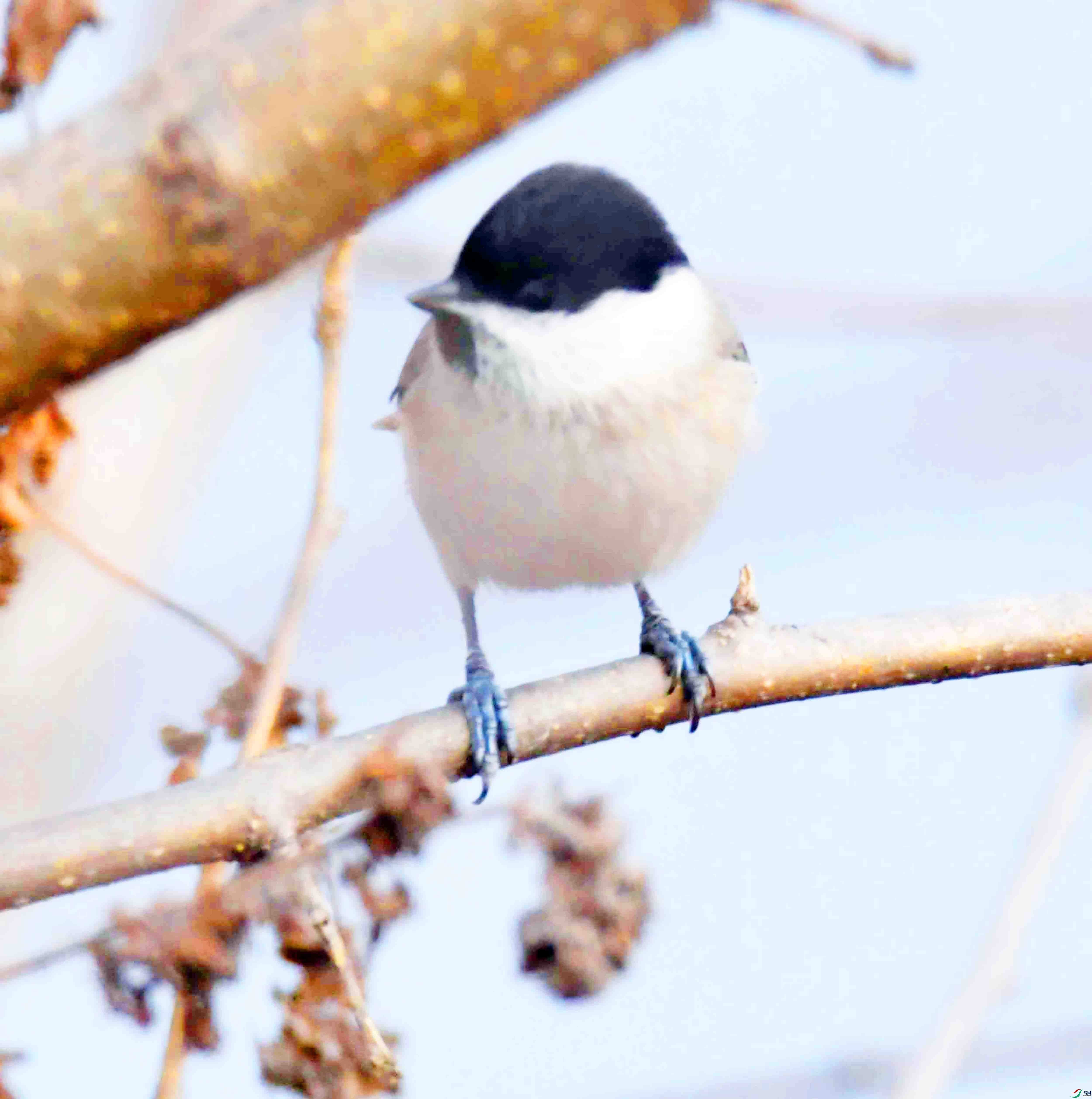 DSC_2473.JPG