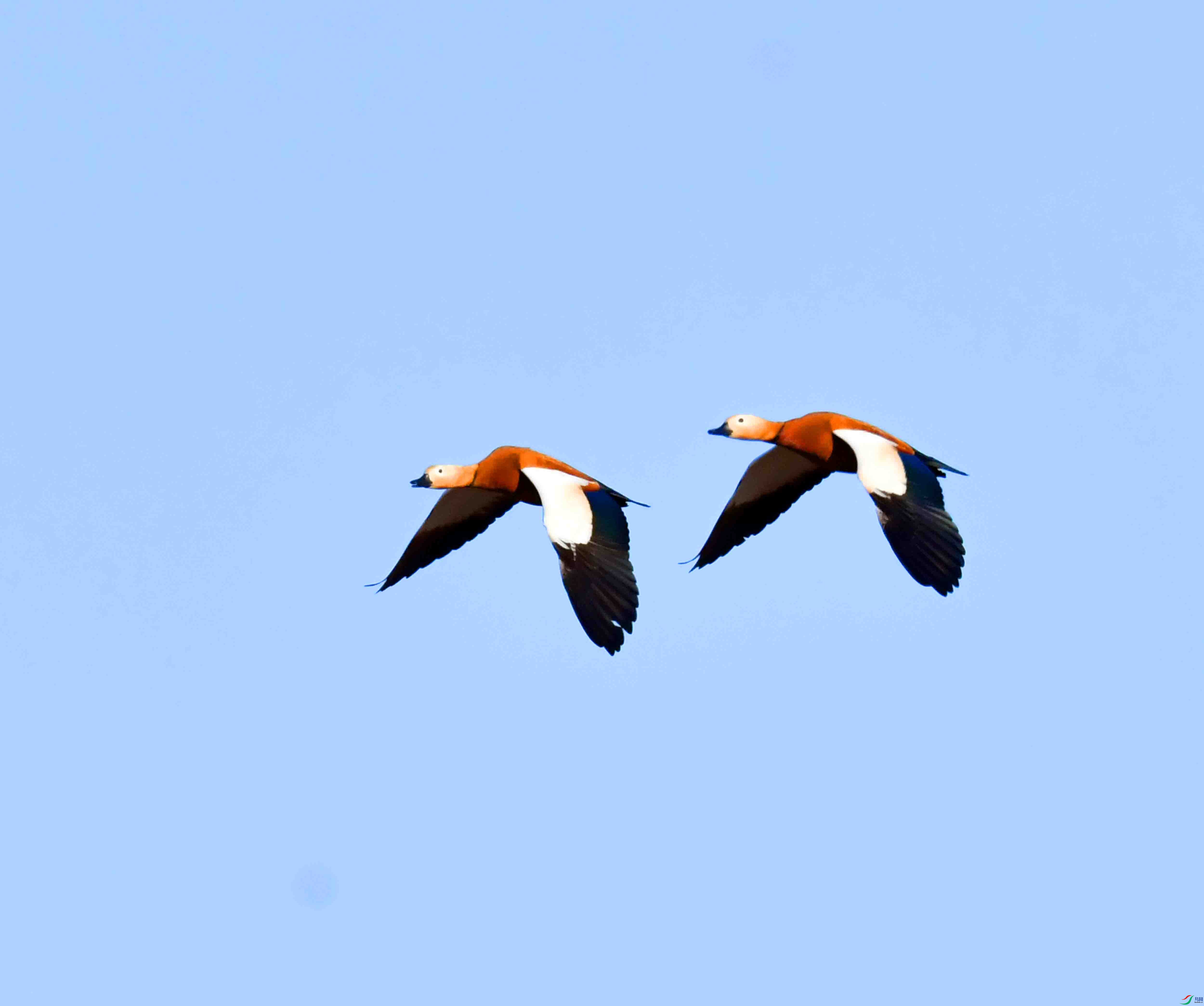 DSC_1194.JPG