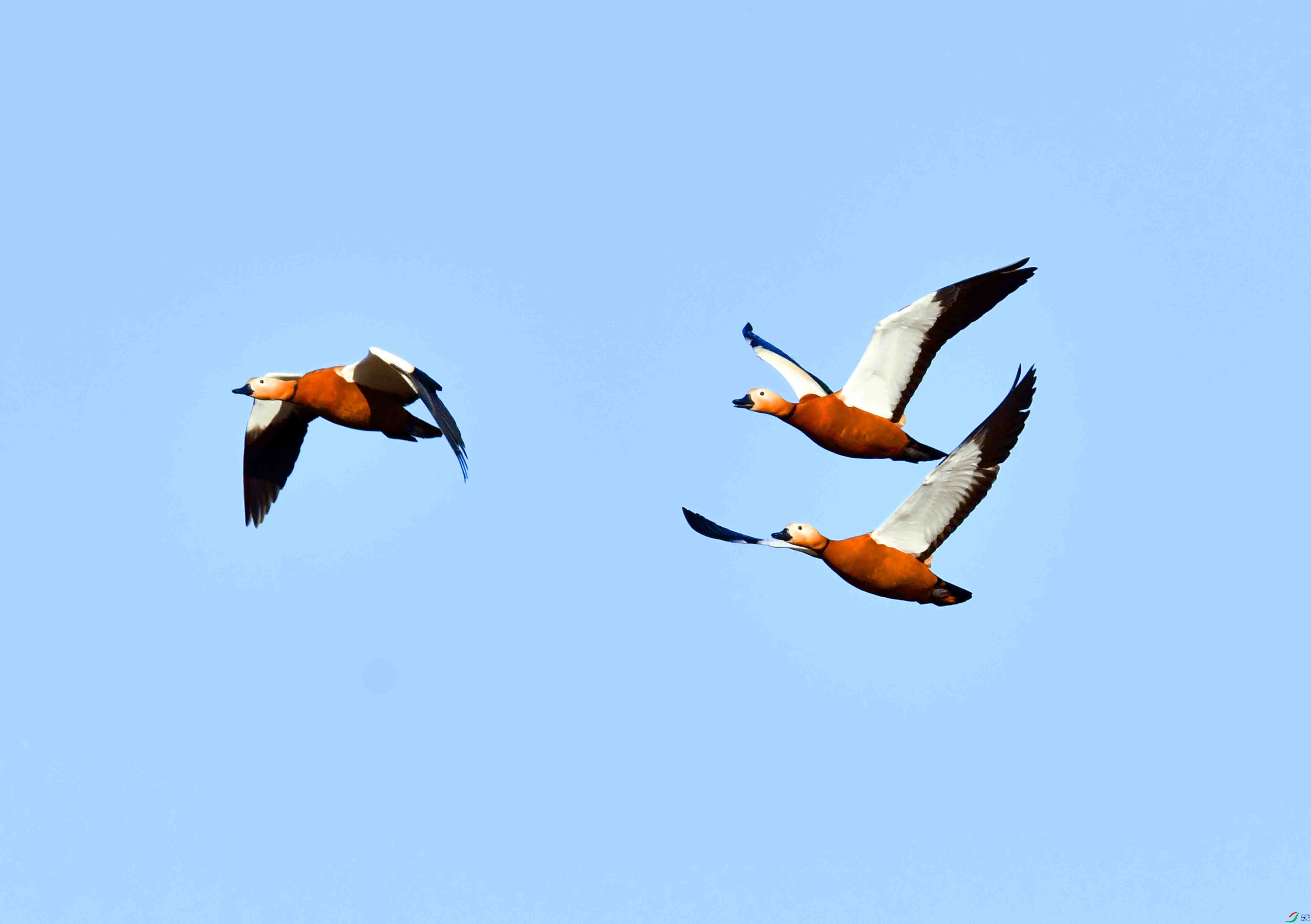 DSC_1206.JPG
