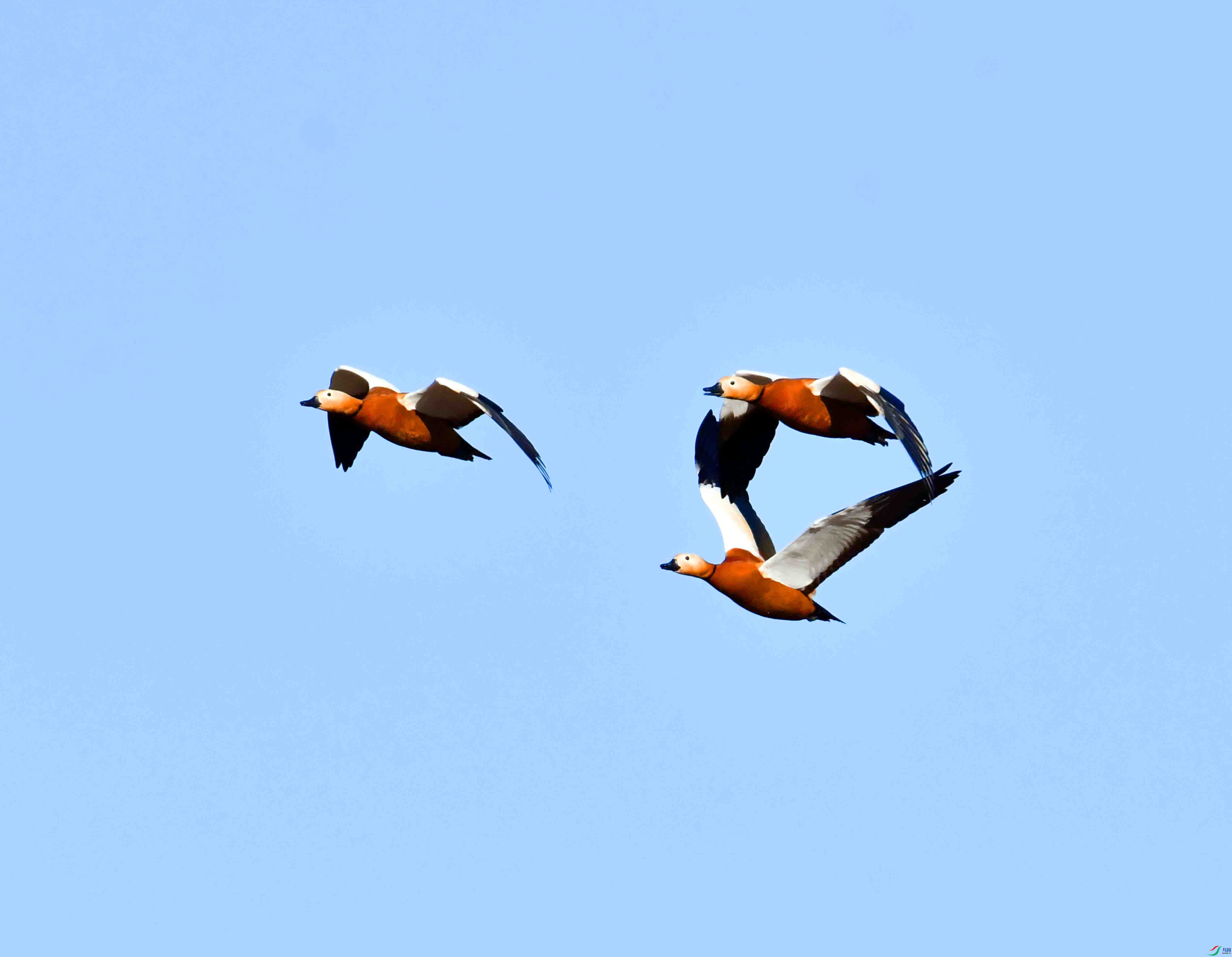 DSC_1205.JPG