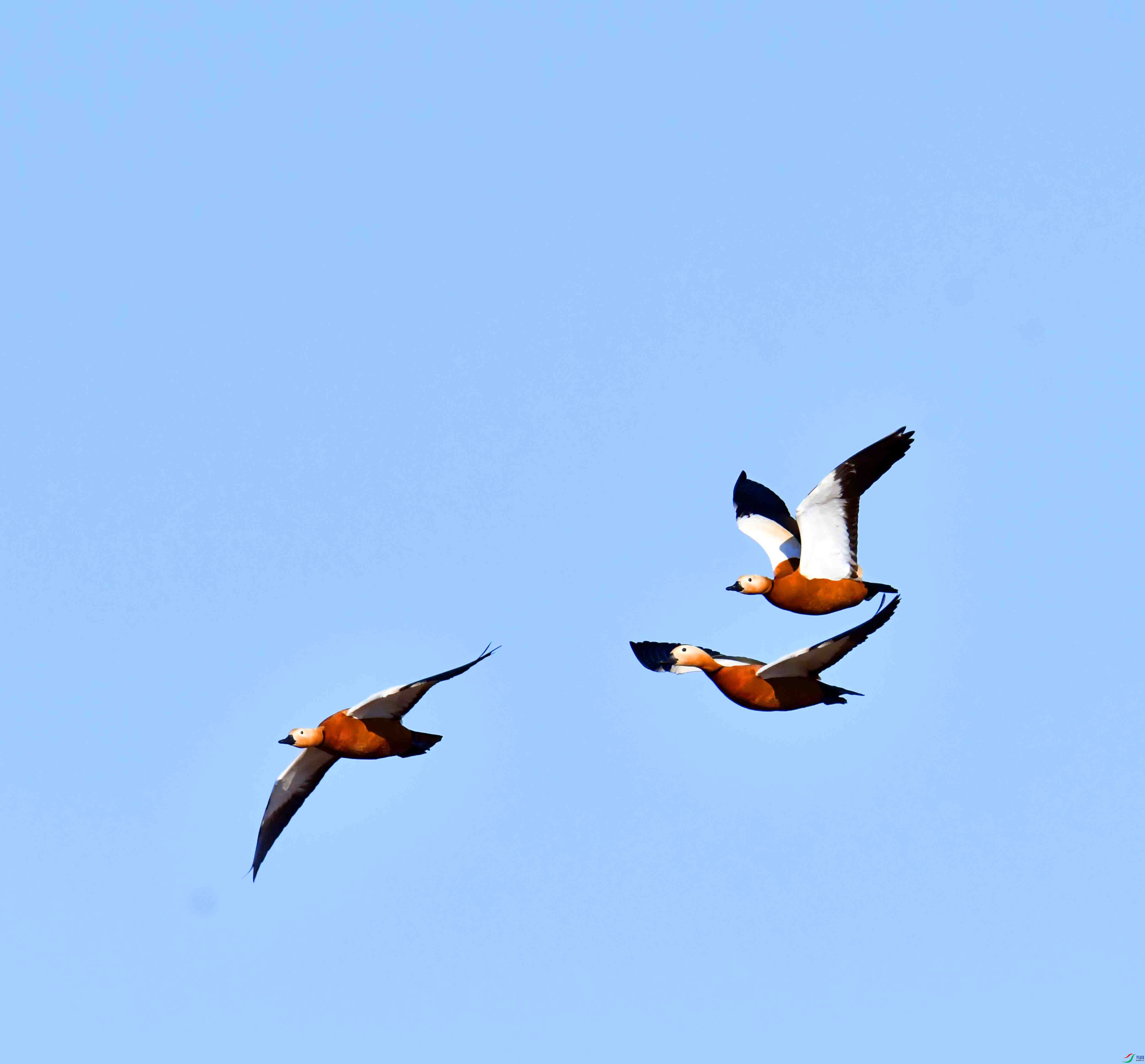 DSC_1211.JPG