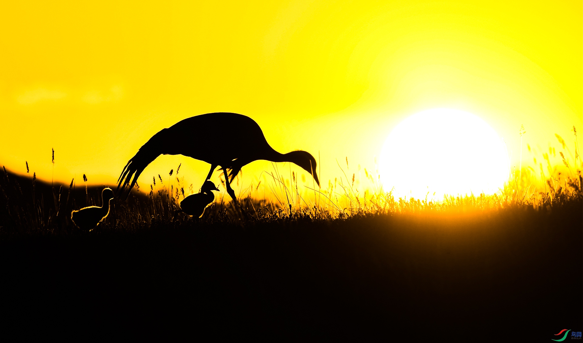 XQD_0646 ���� 2.jpg