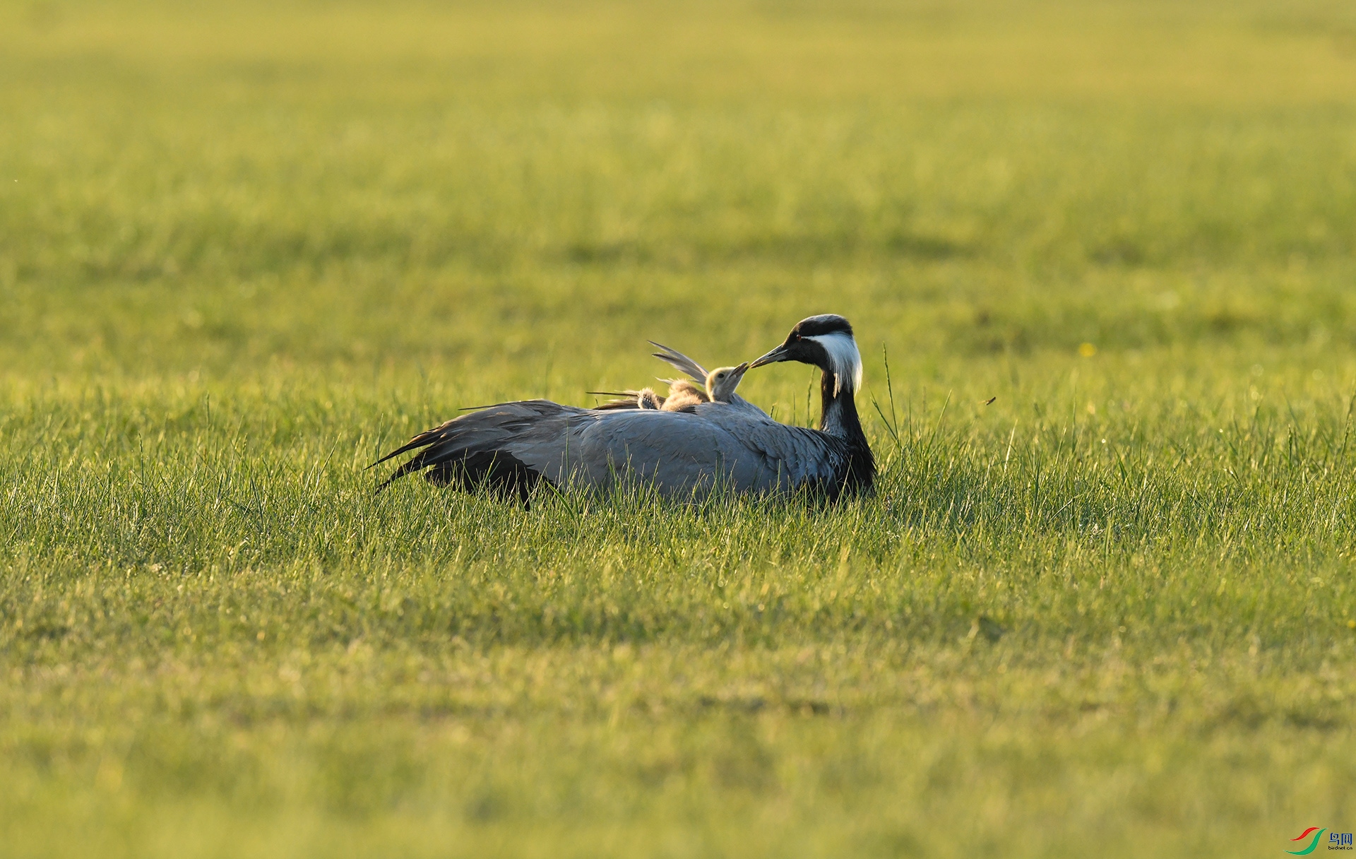 XQD_4258 ����.jpg