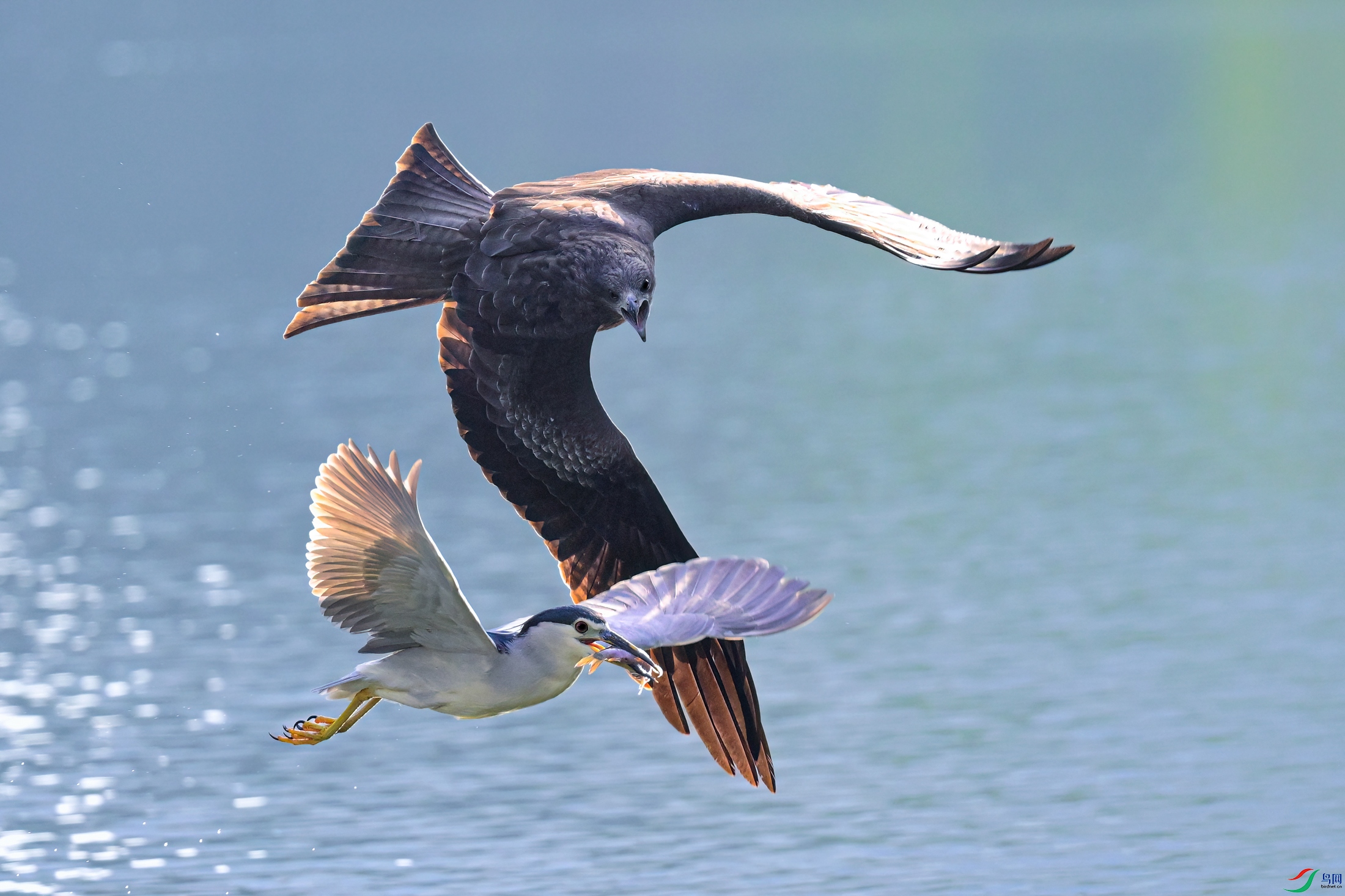 _DSC7334x.jpg