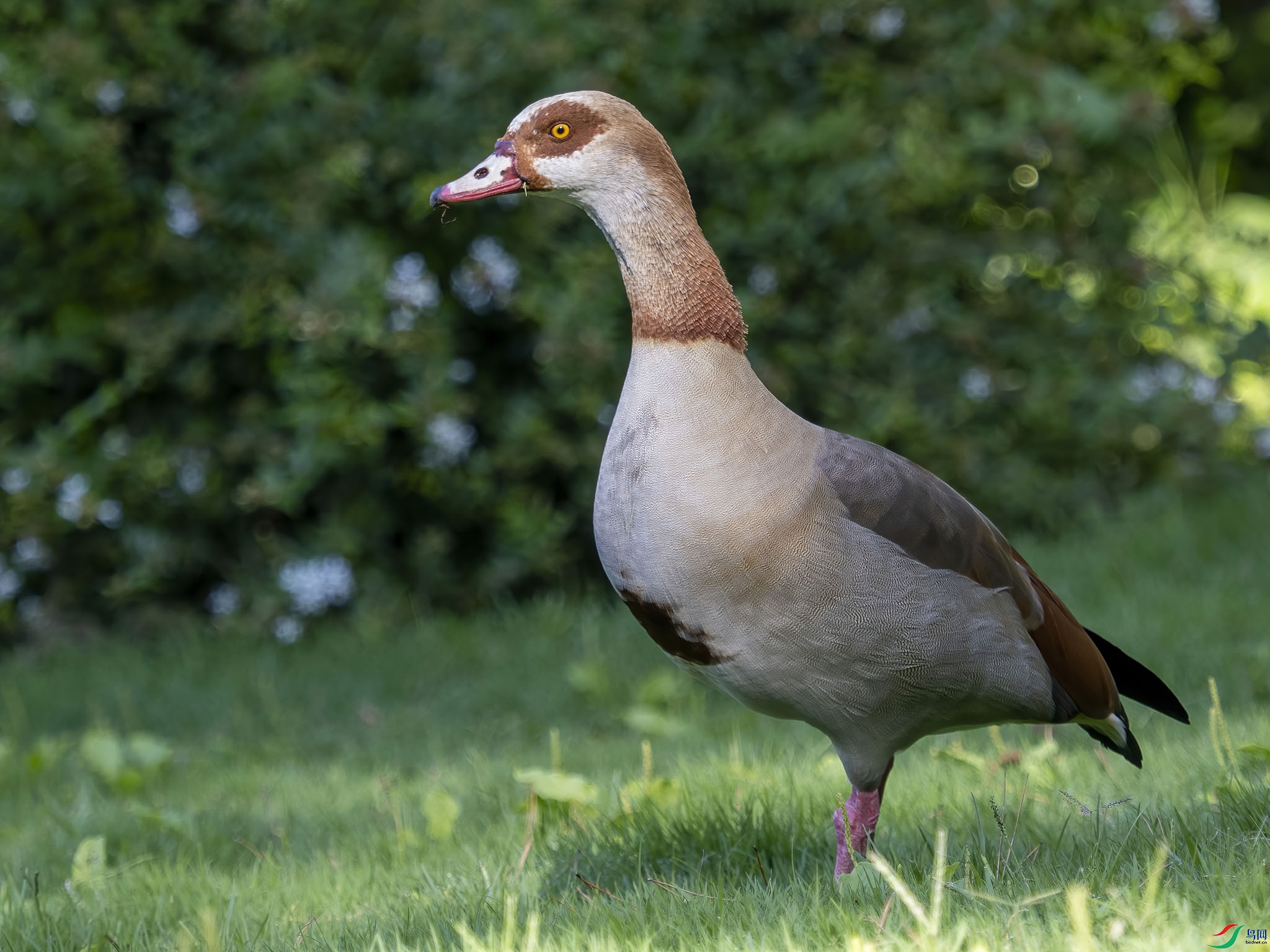 01 P9101477-DeNoiseAI-standard.jpg