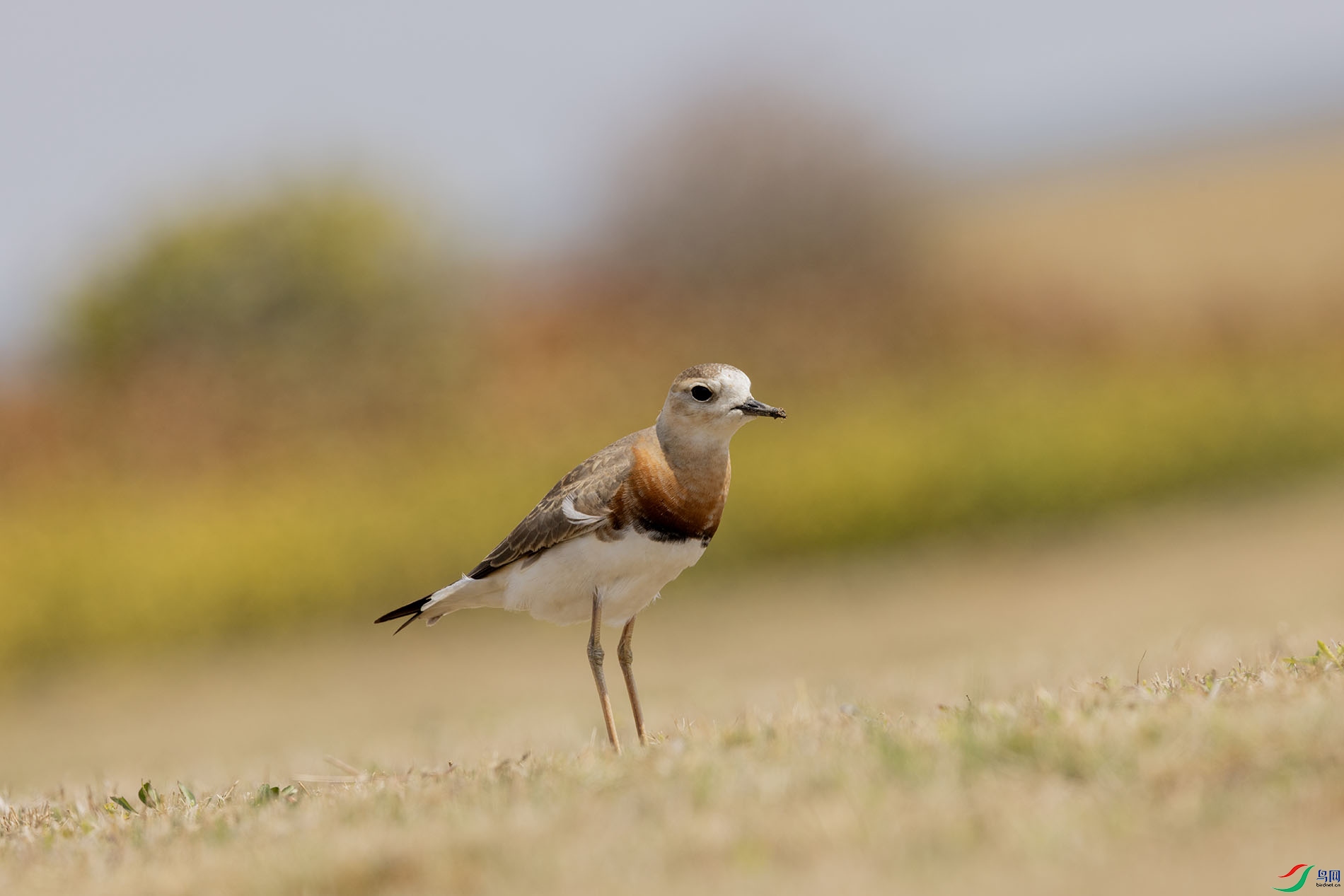 3F8A9927 ����.jpg