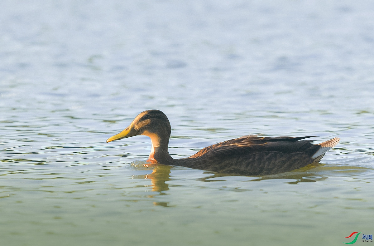 DSC_5257.JPG