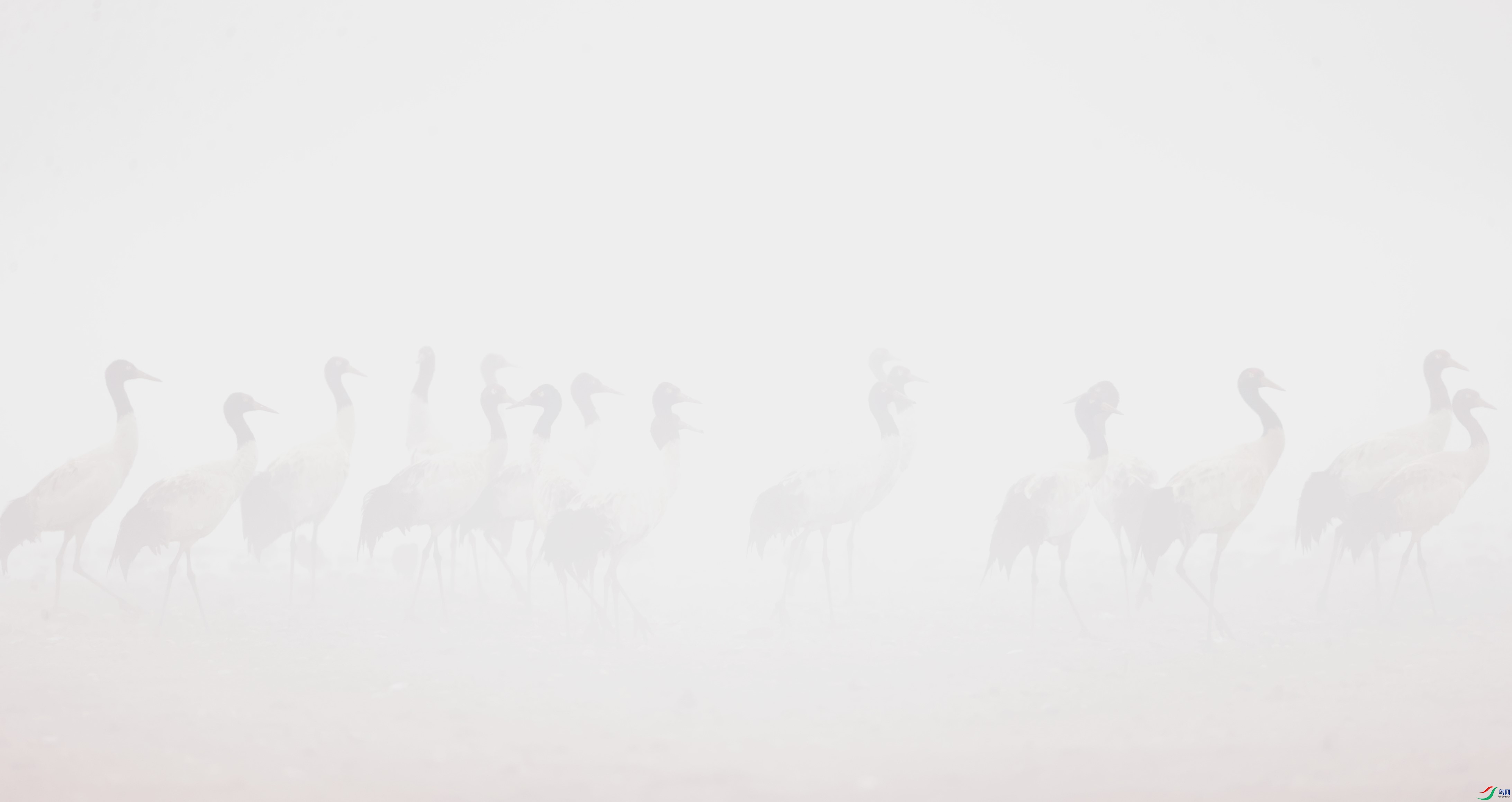 ���к� (2).JPG