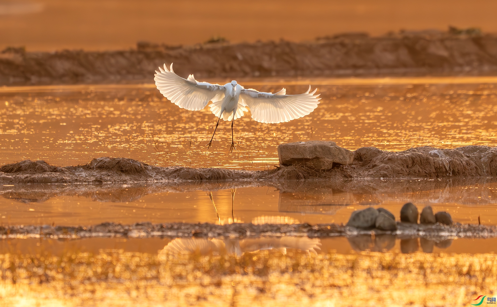 DSC04100-����ǿ-NR ����.jpg