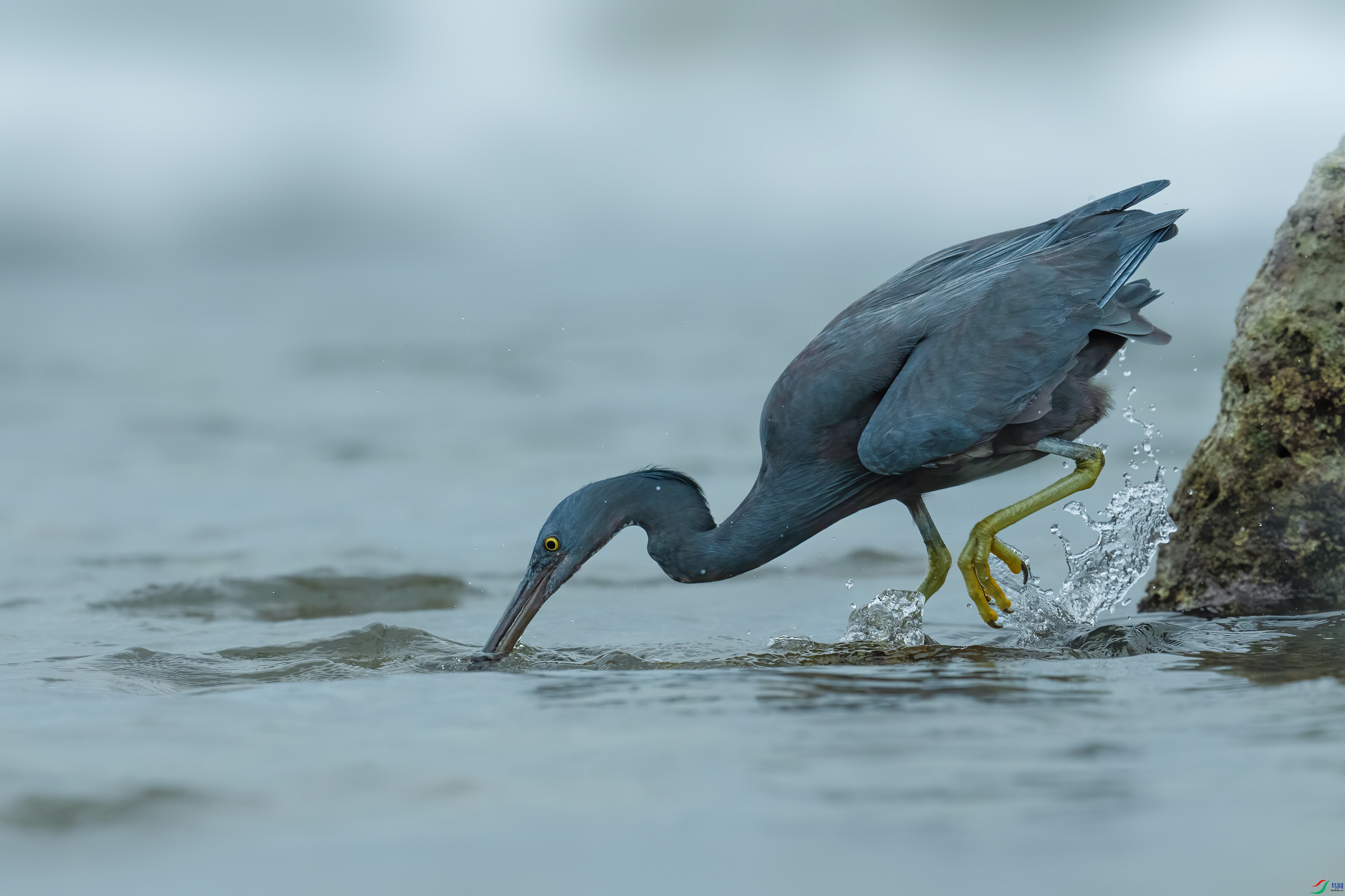 DSC03989 ����.jpg