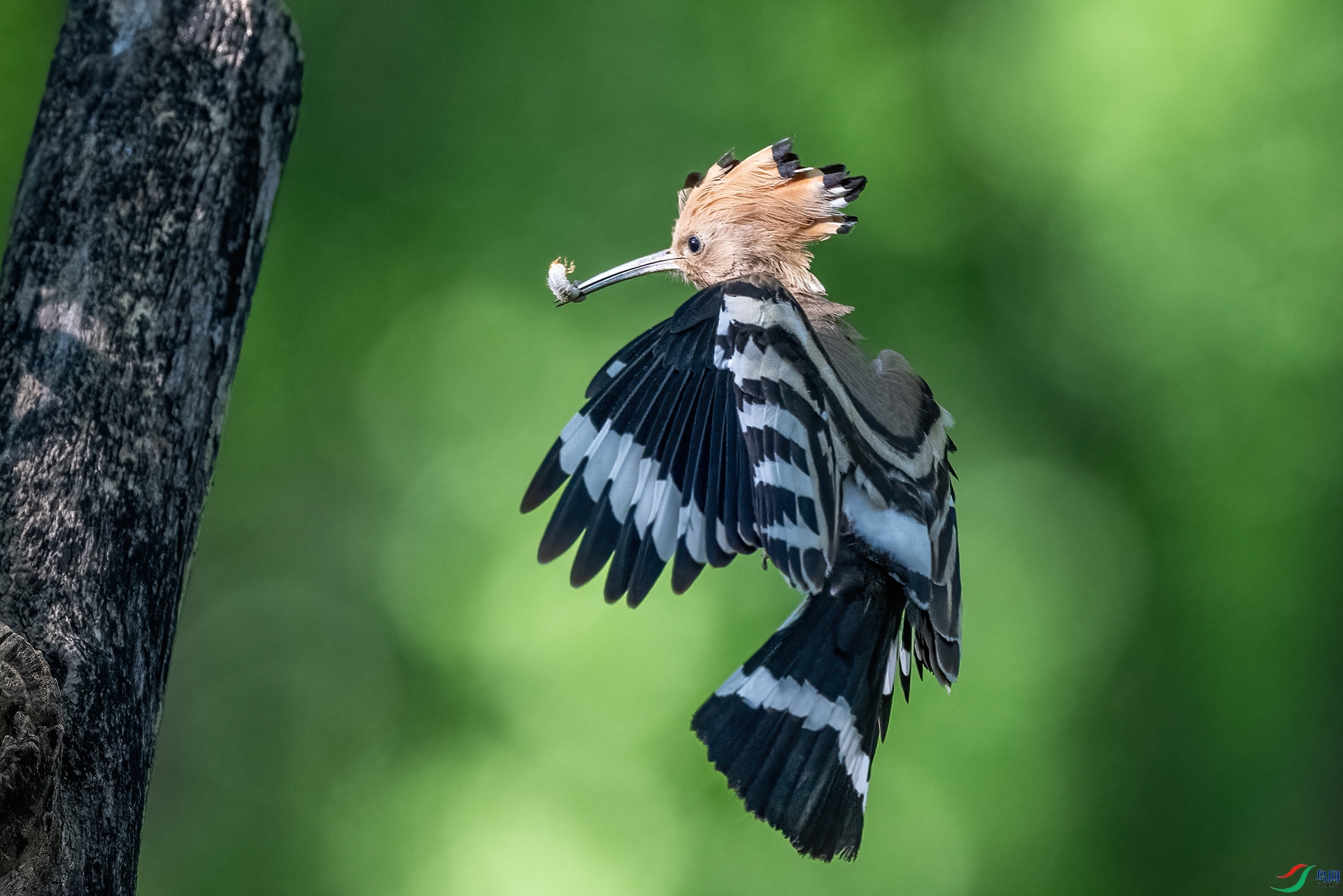 _DSC2806 ����-.jpg