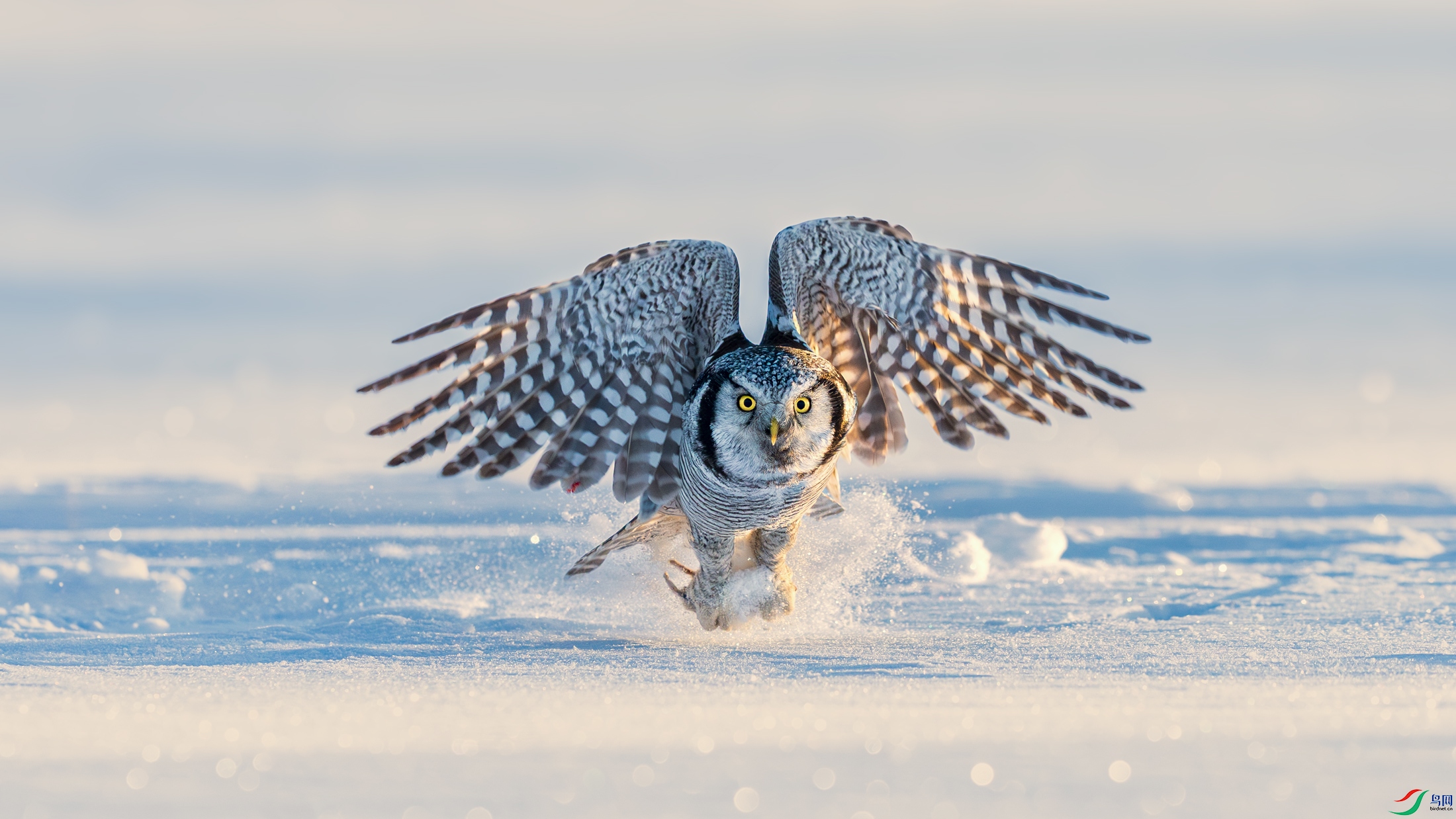 a_DSC8613_����.jpg