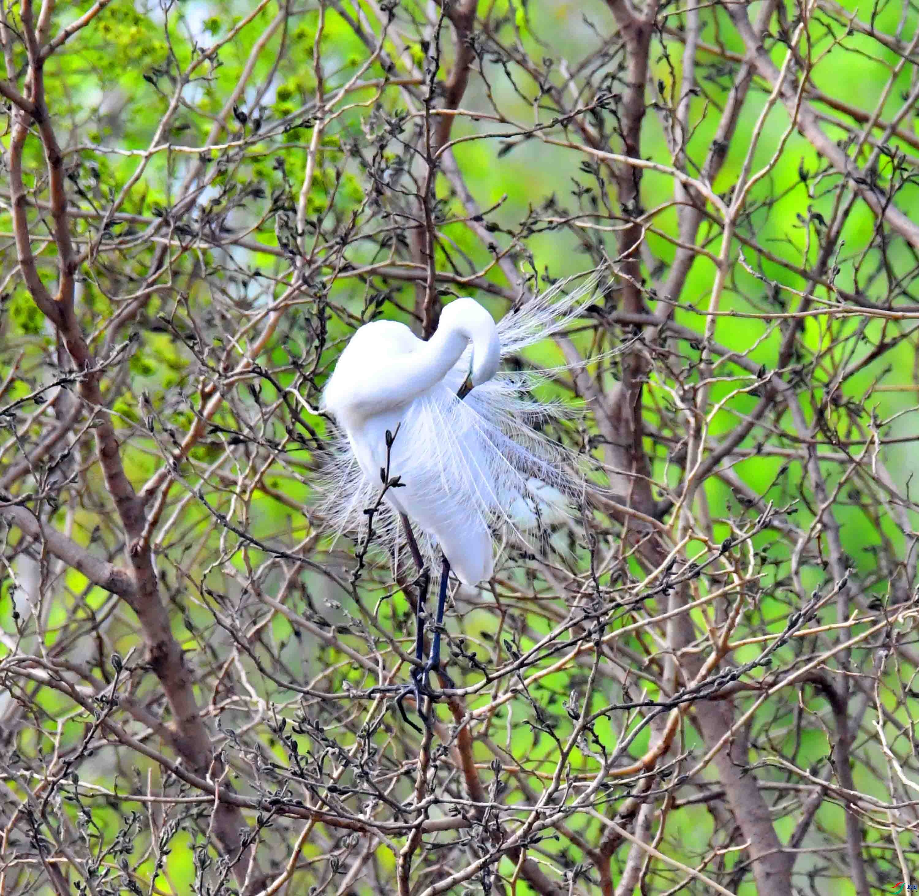 DSC_1461.JPG