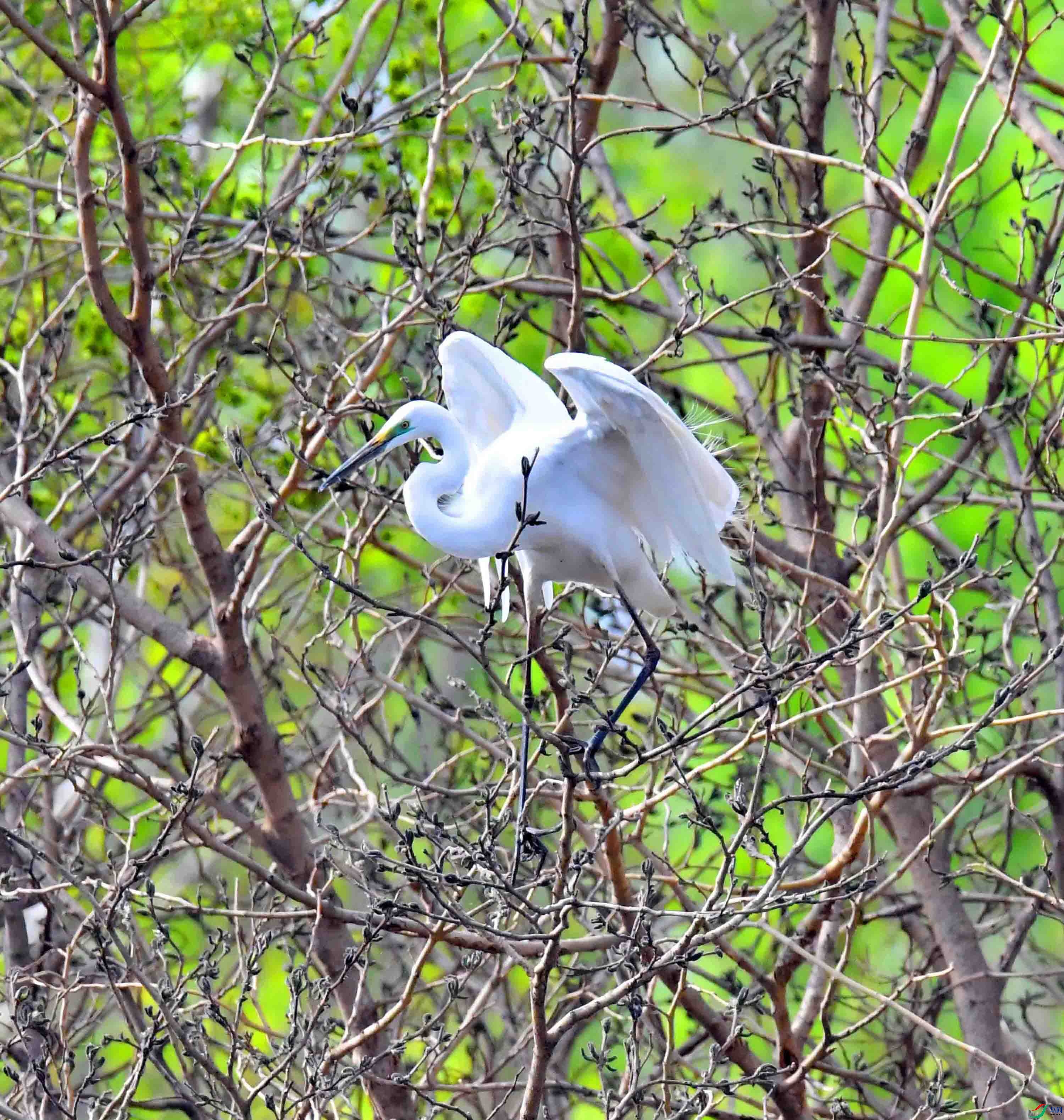 DSC_1441.JPG