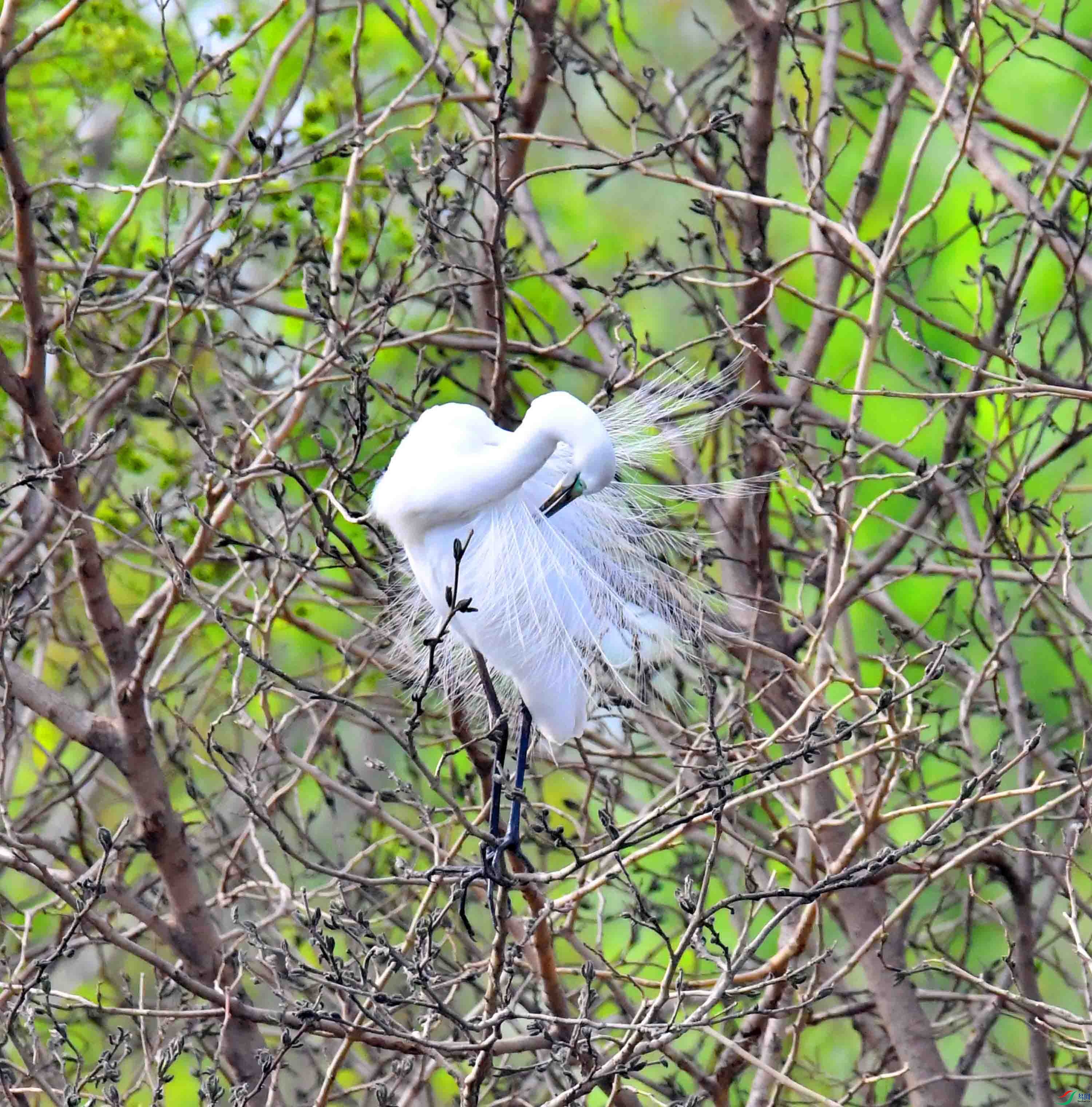 DSC_1465.JPG