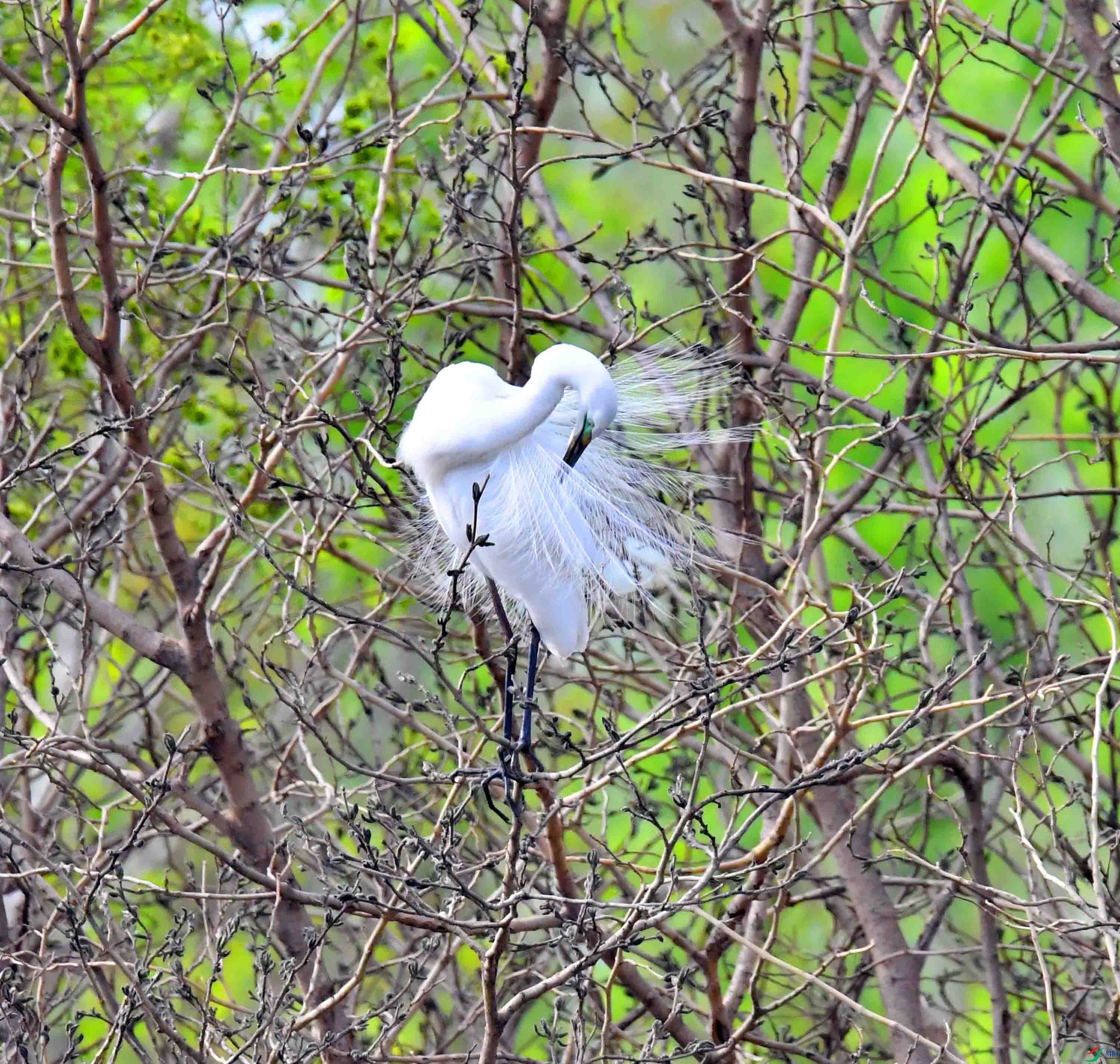 DSC_1467.JPG