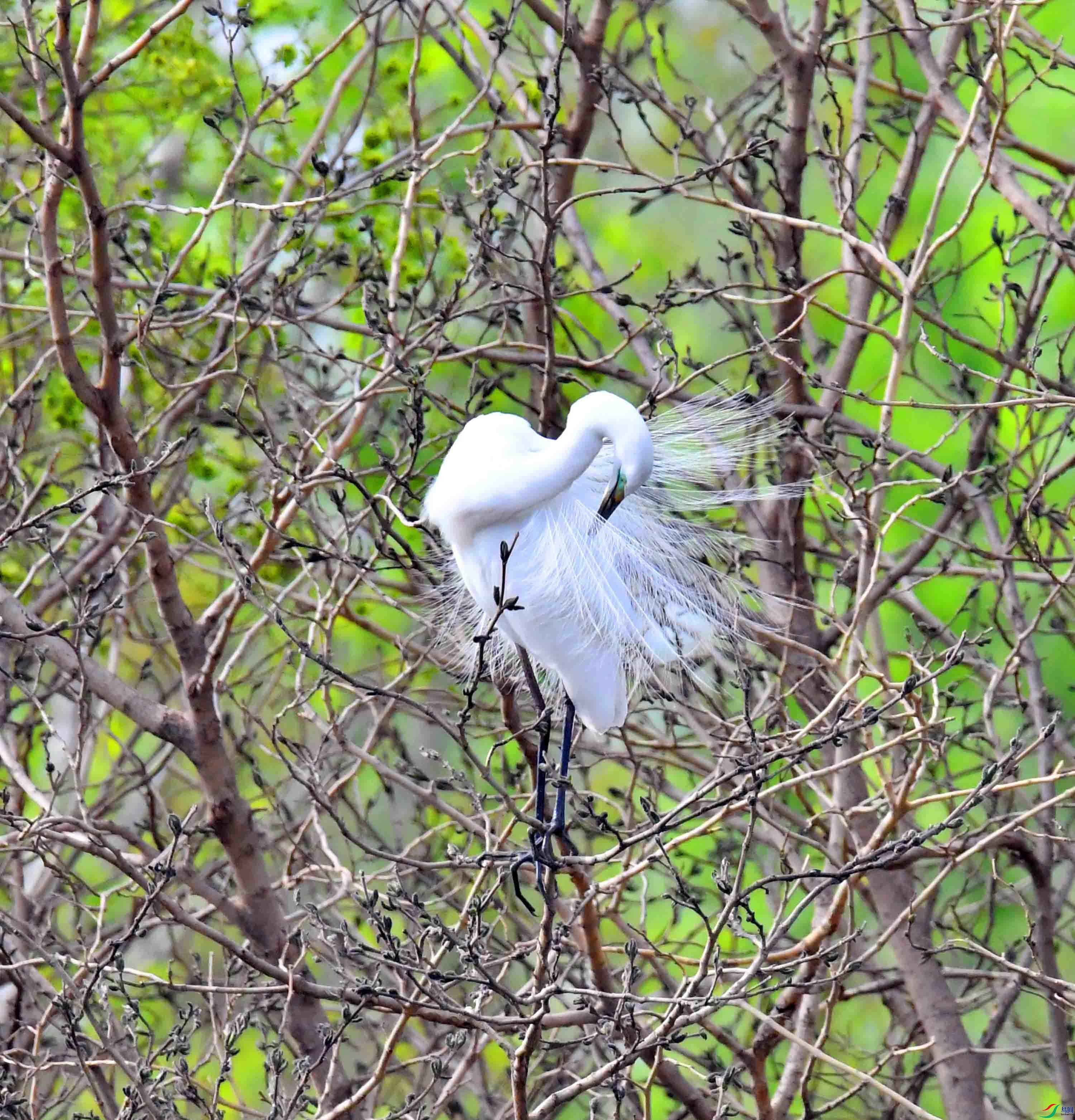 DSC_1466.JPG