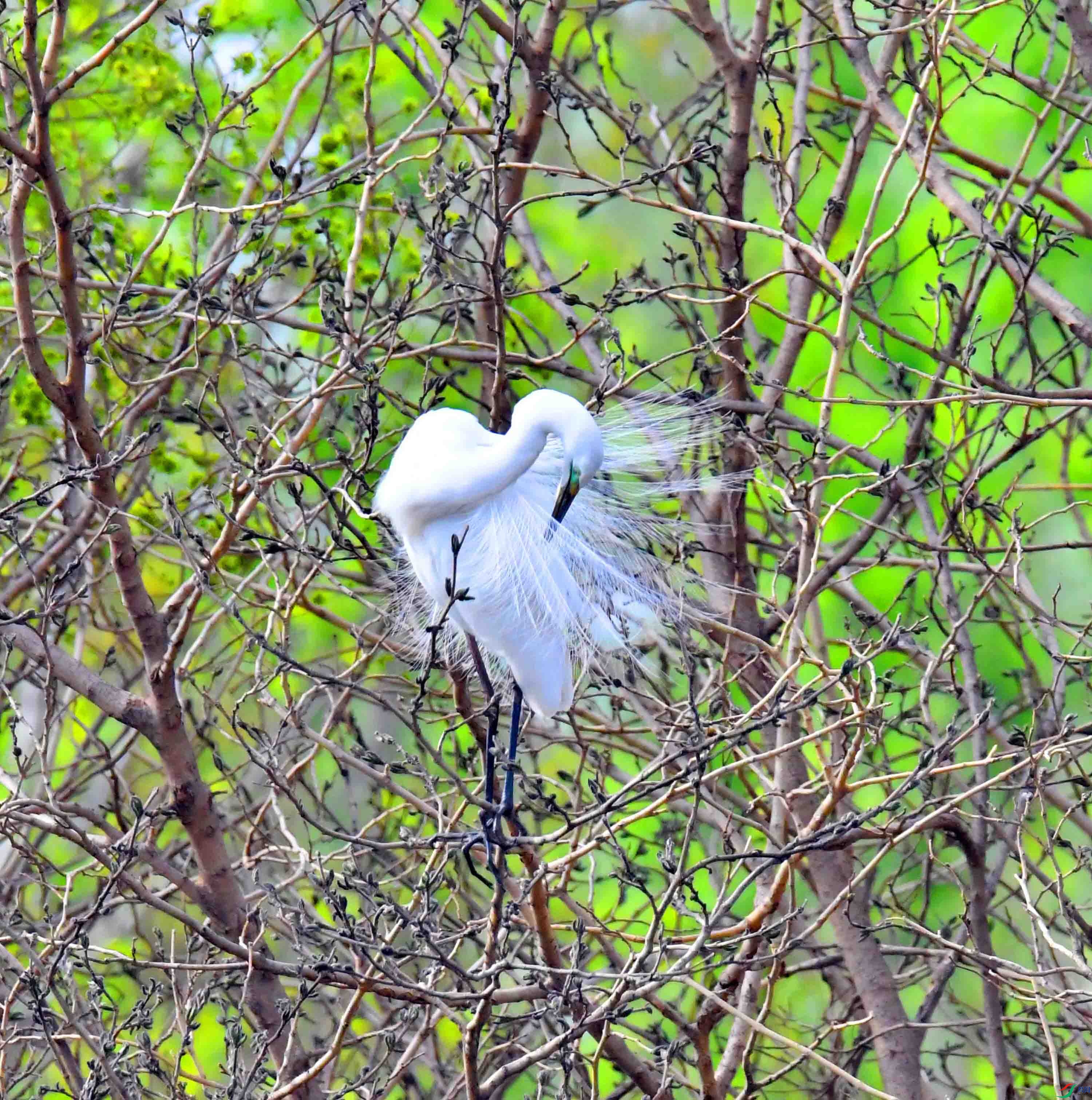 DSC_1468.JPG