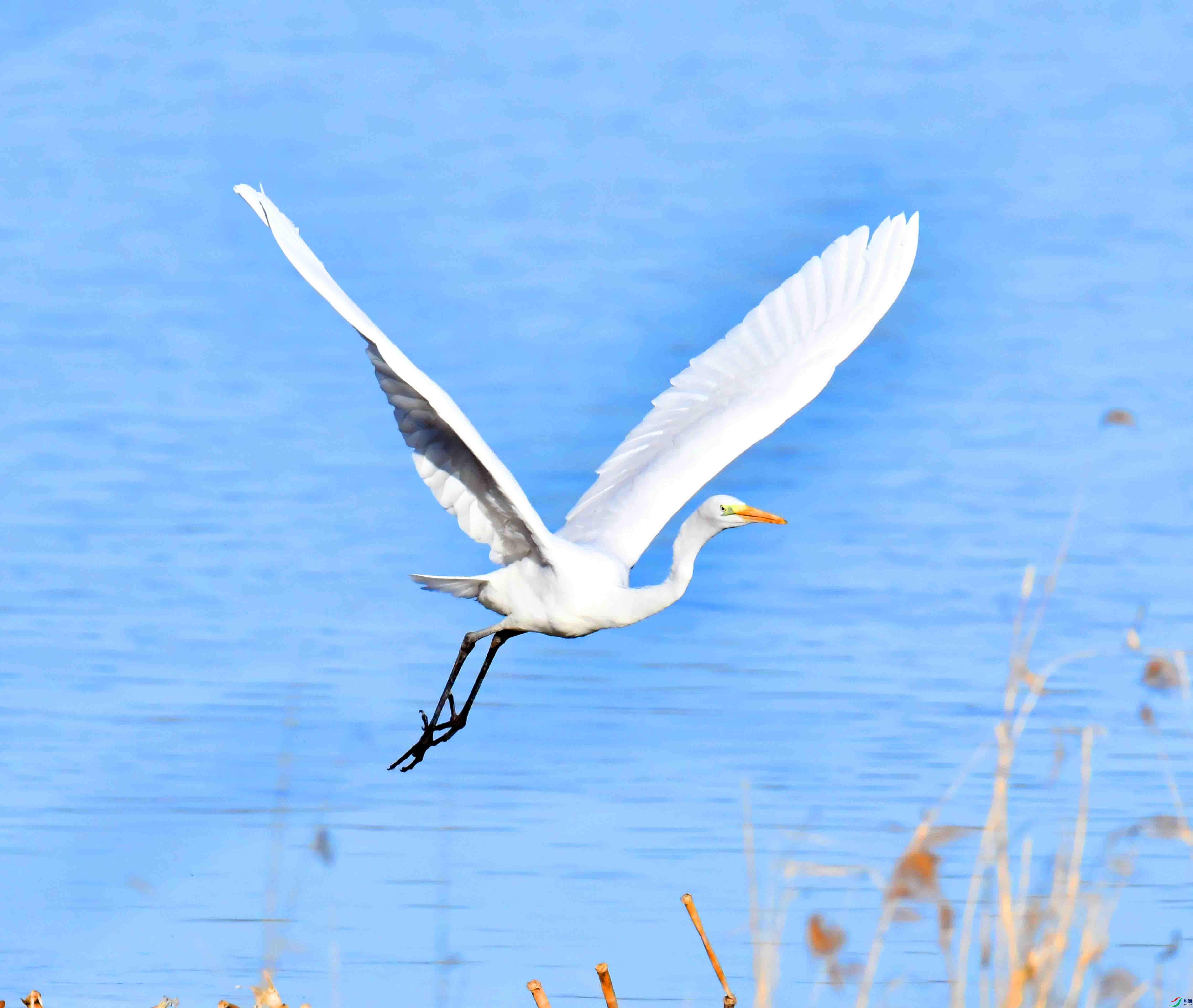 DSC_8572.JPG