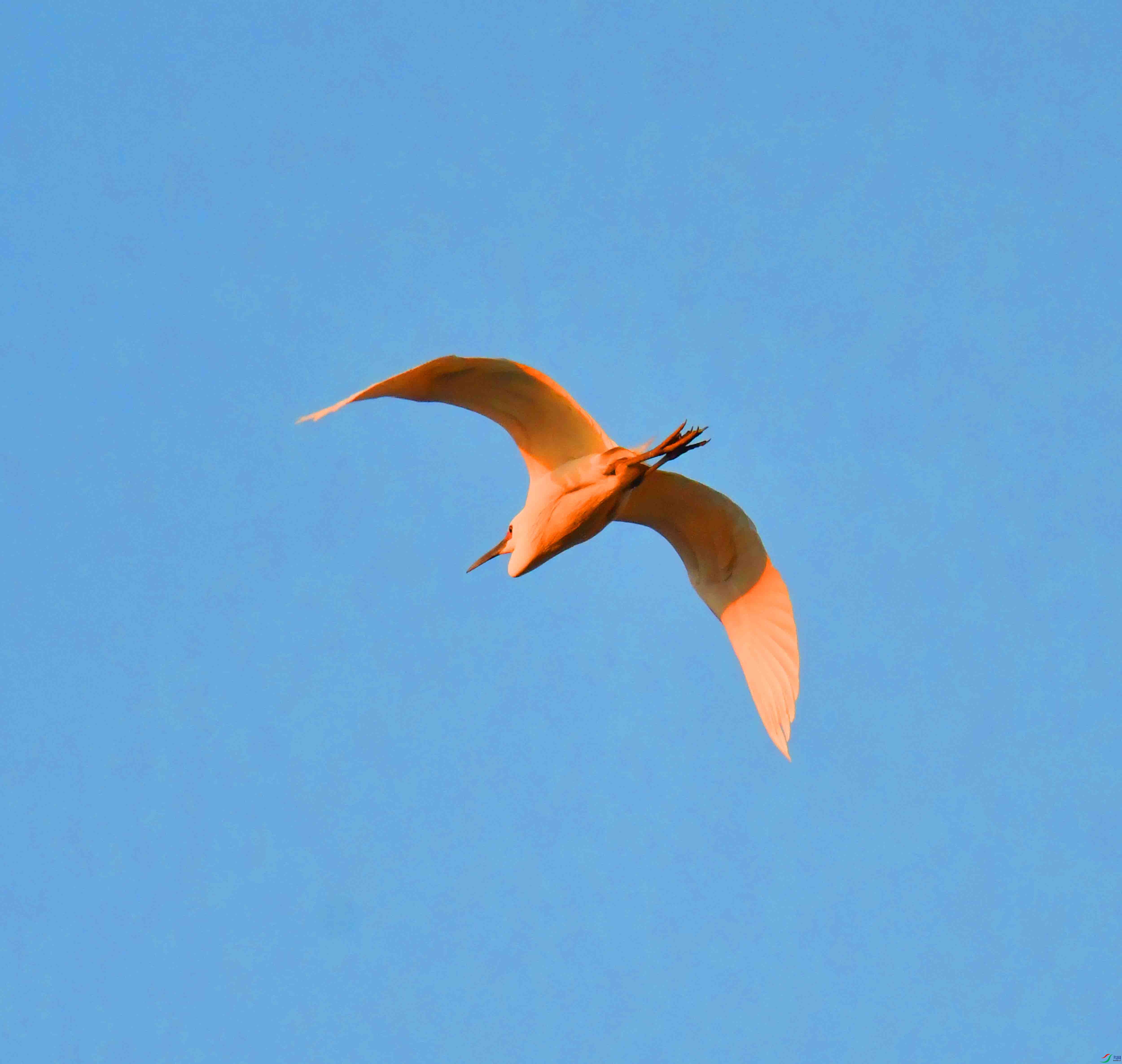 DSC_9330.JPG