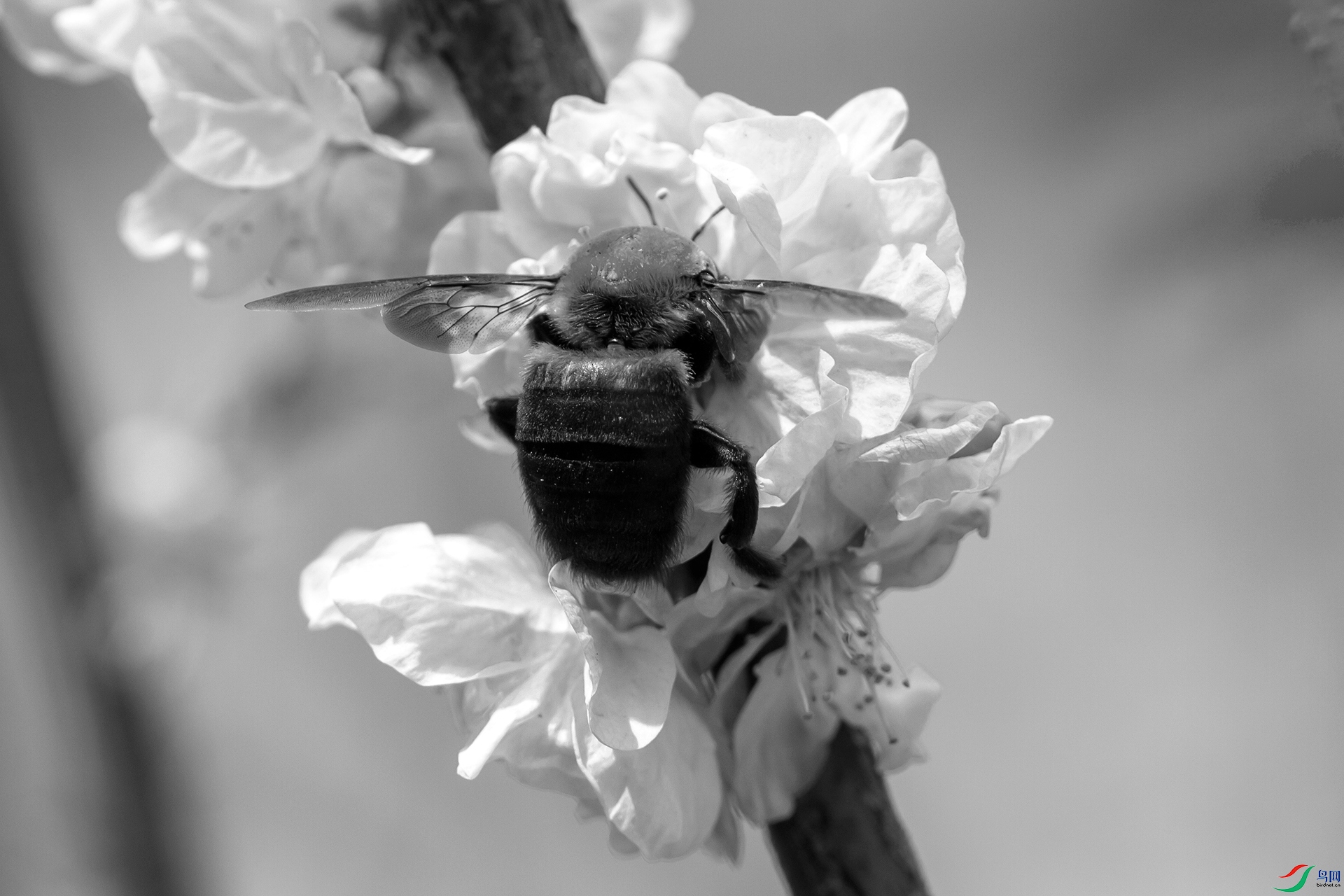 _MG_3885.jpg