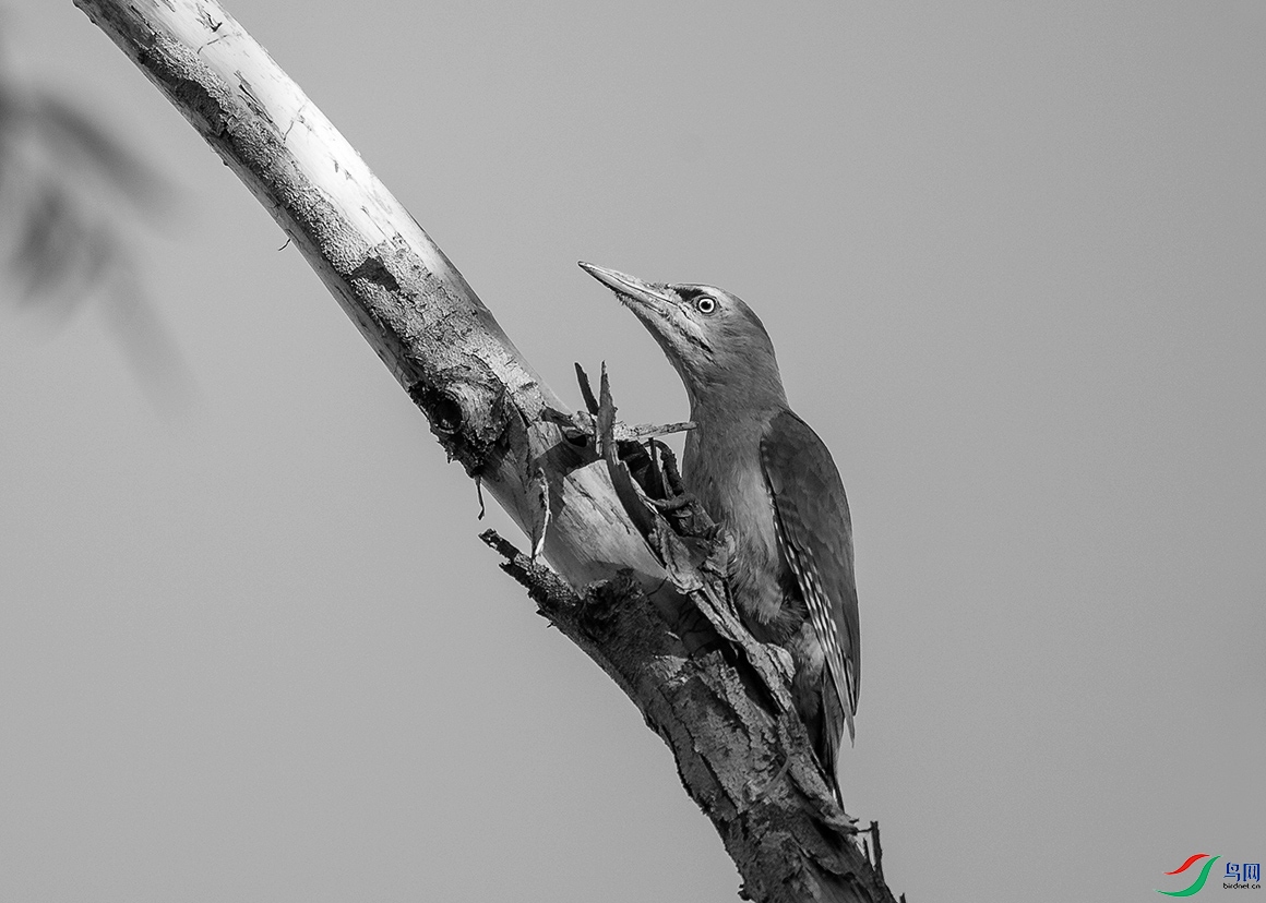 _DSC35220.jpg