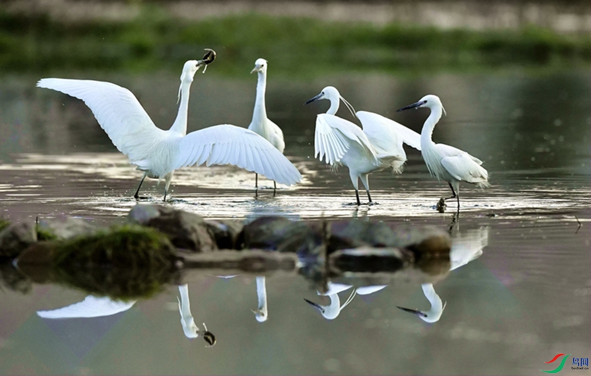 �����ǡ�