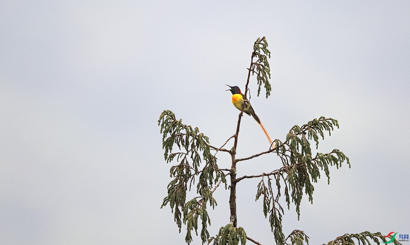 DSC_6361 ����.jpg