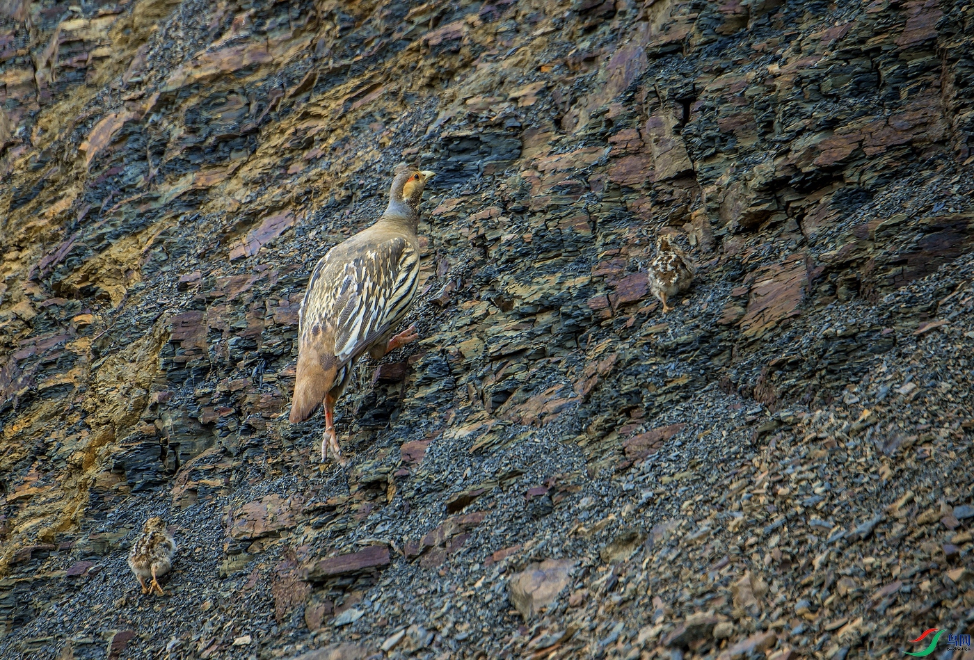 _DSC0189.jpg