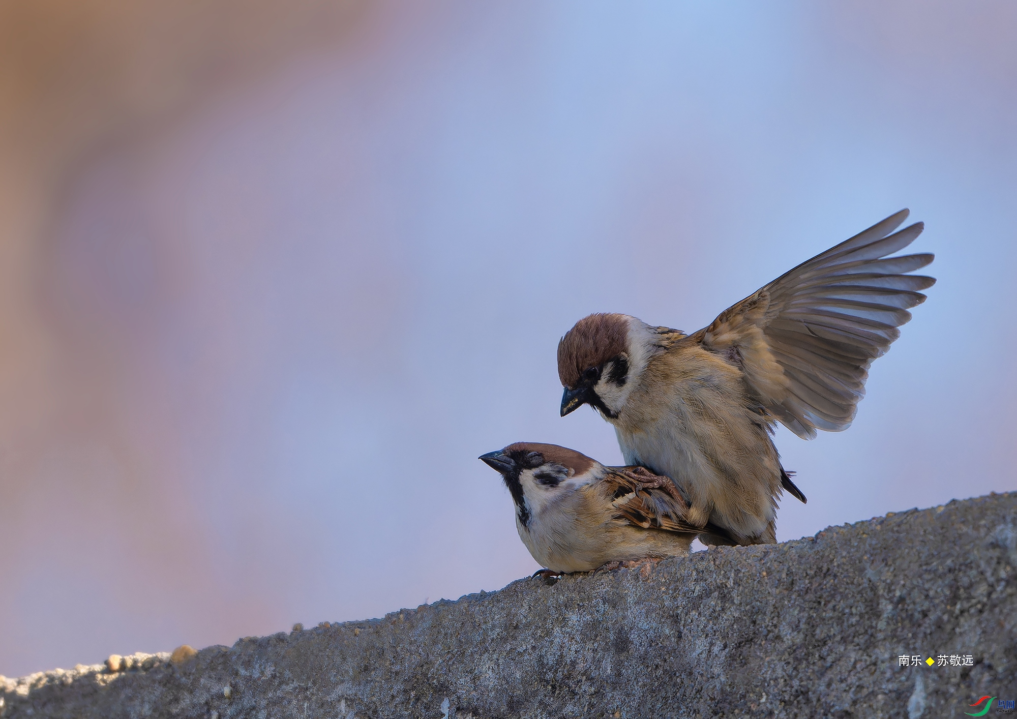 _DSC1178-NEF_DxO_С.jpg