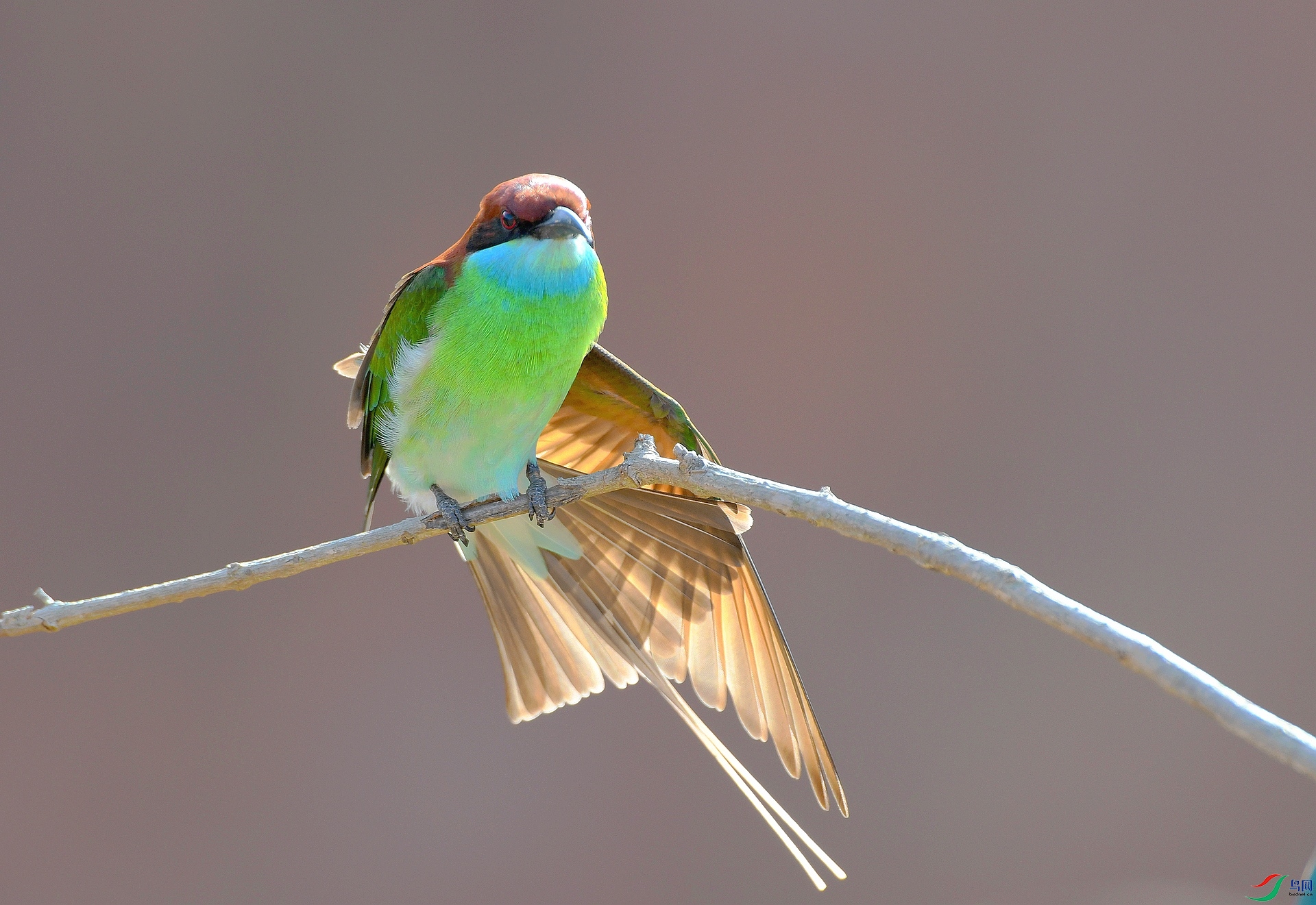 DSC_9026.jpg
