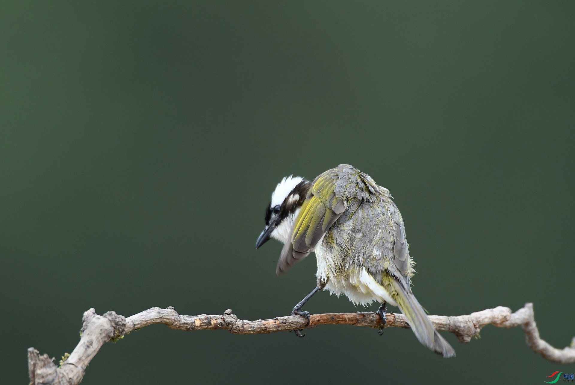 DSC_7708.jpg