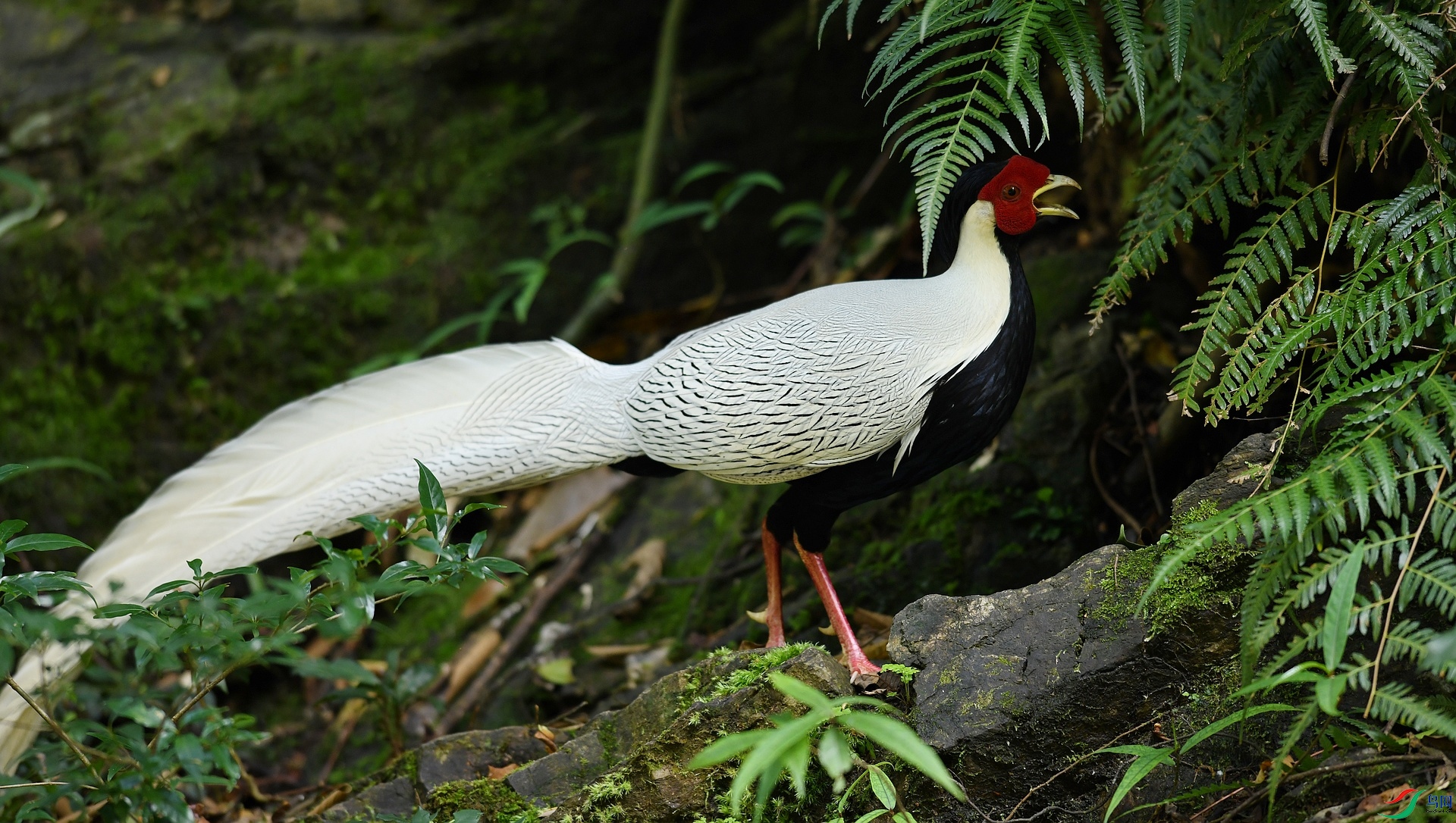 DSC_7776.jpg