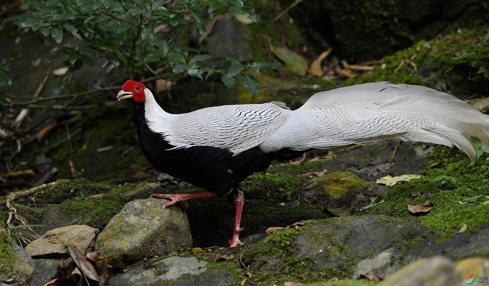 DSC_5134.jpg