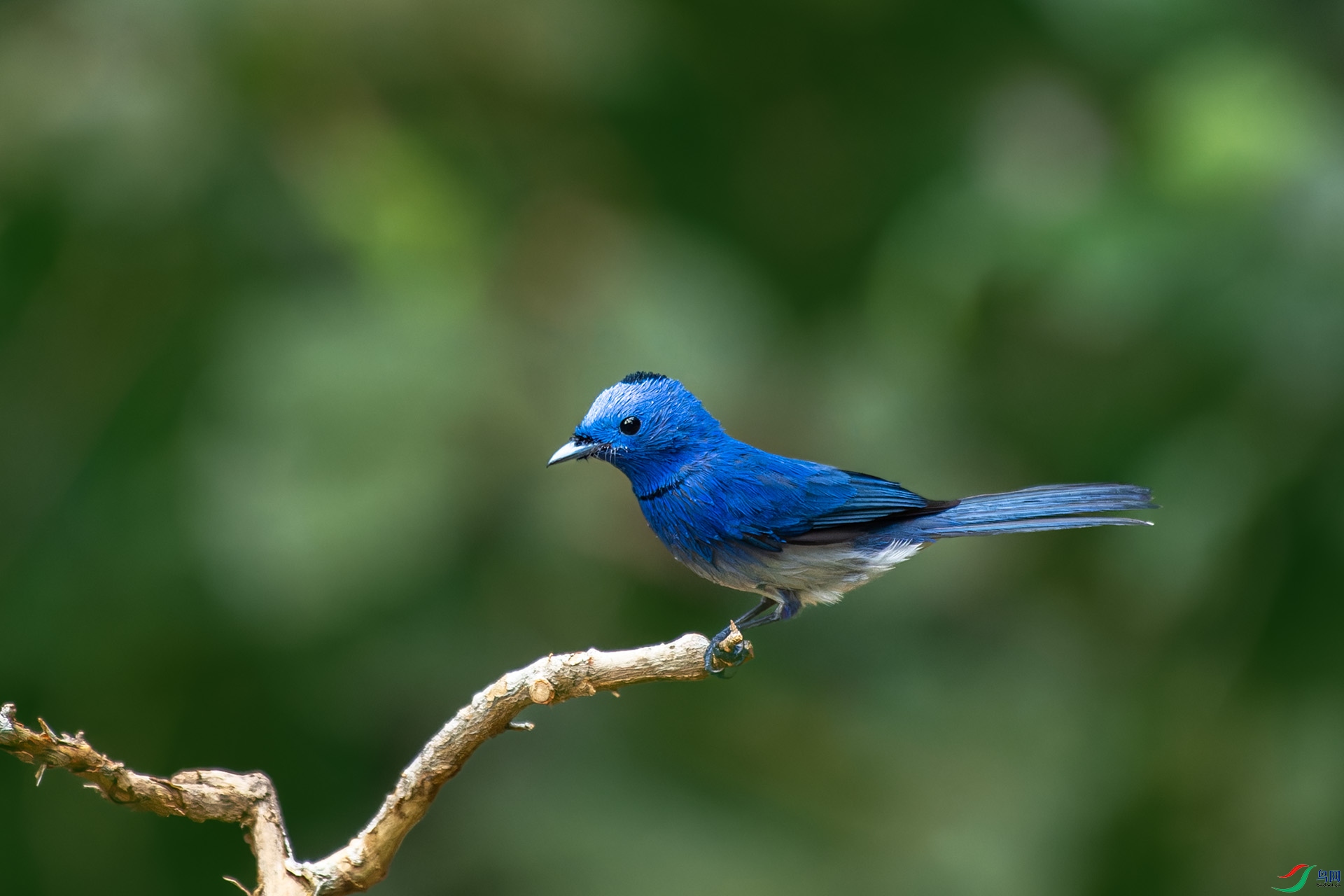 DSC_8878-1.jpg