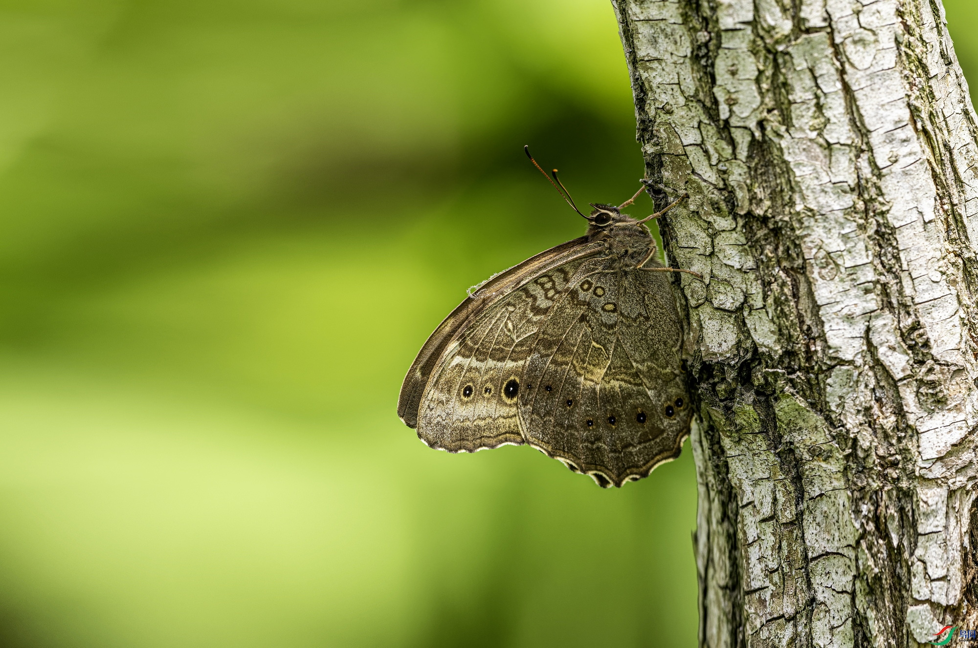 �������۵� (32)-01.jpg