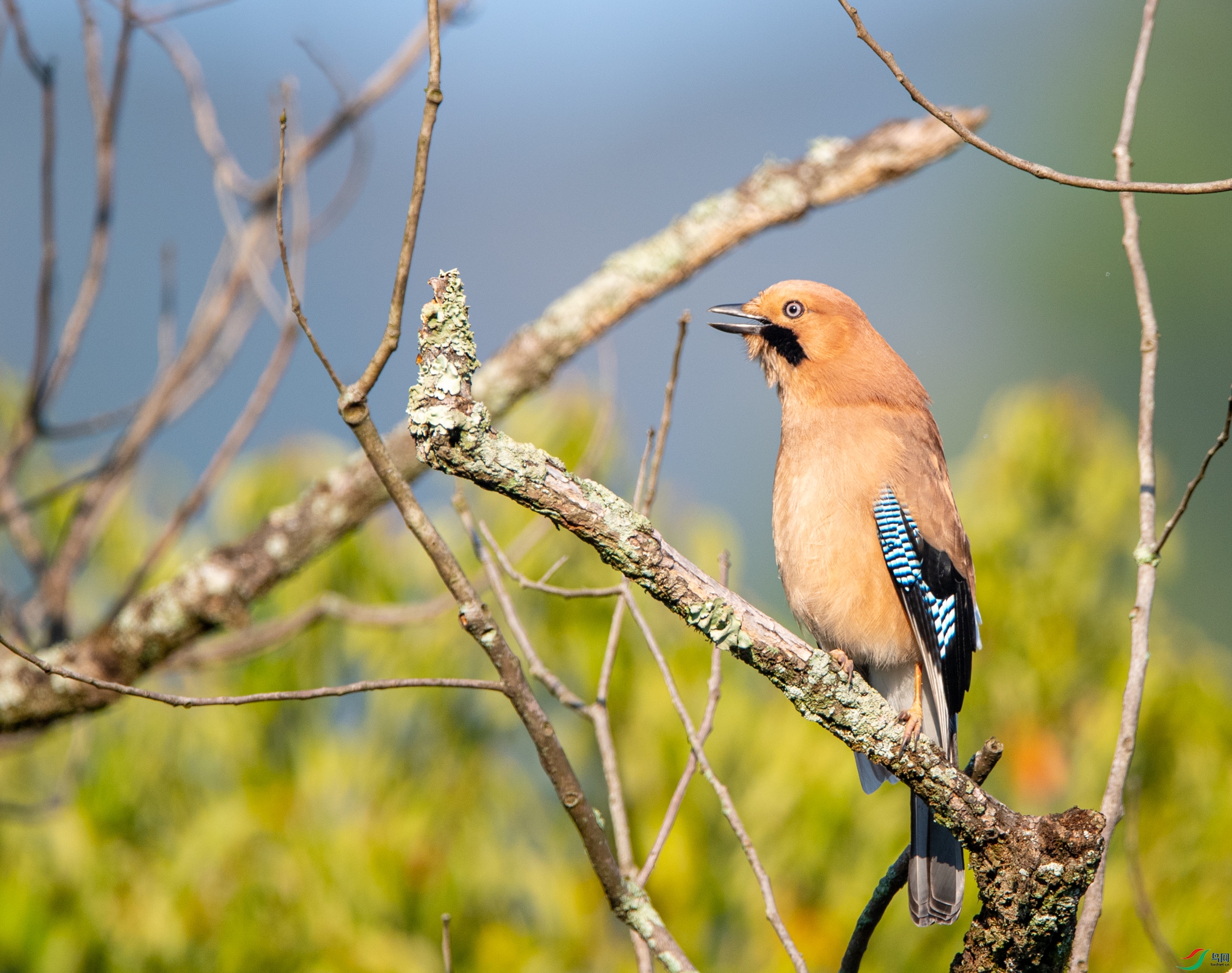 DSC_3850��ѻ.JPG