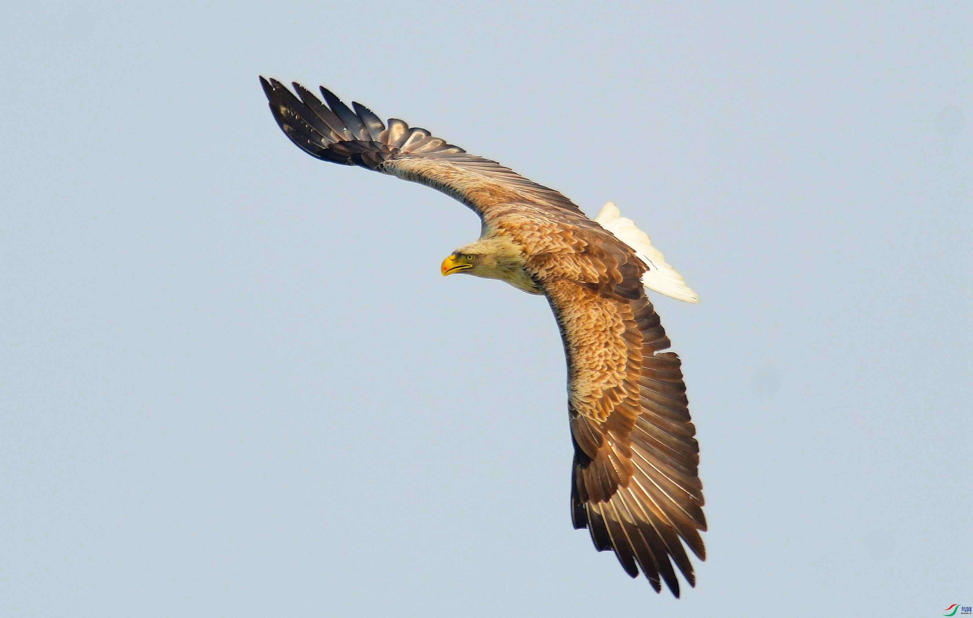 DSC_0237.JPG