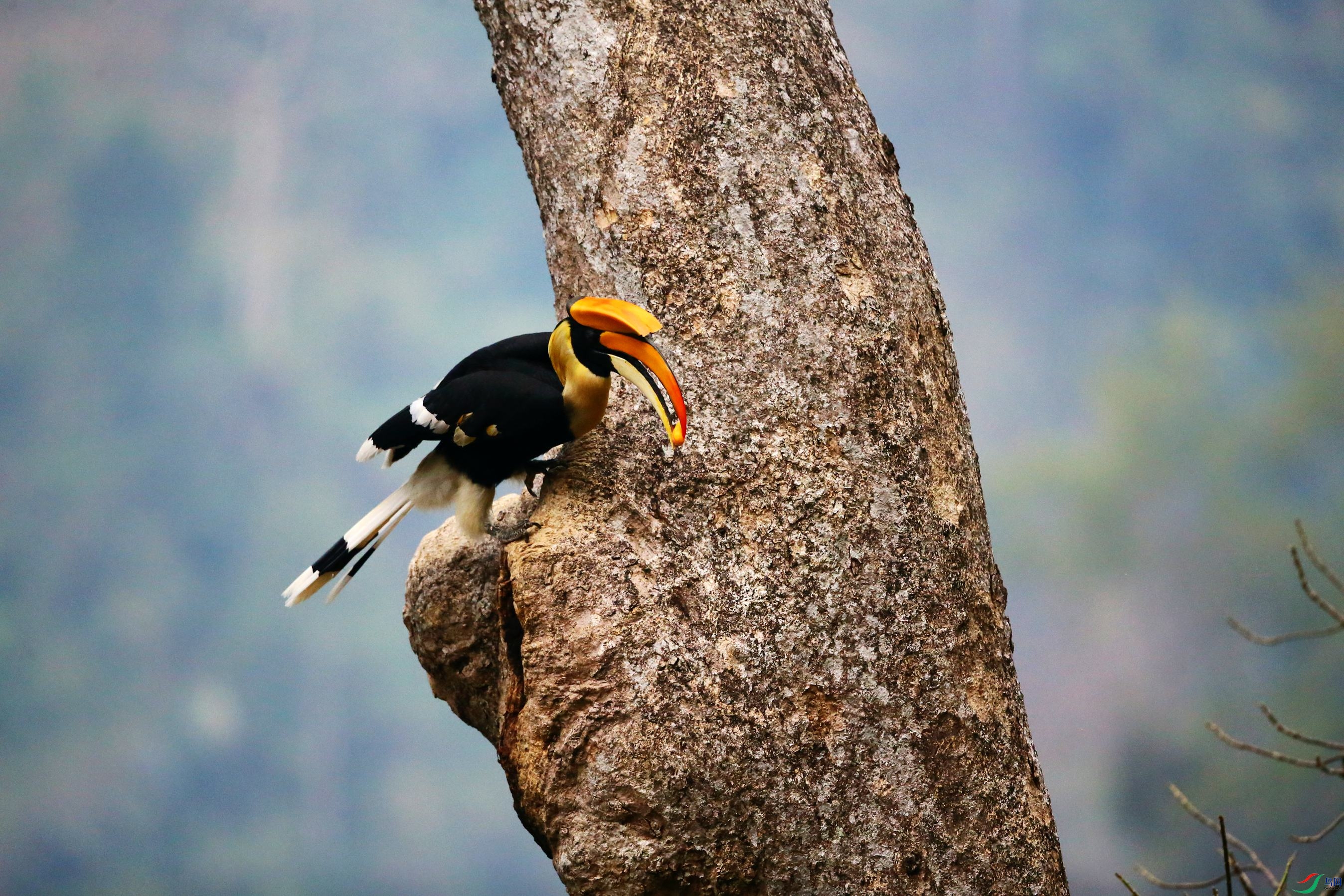 ˫��Ϭ�� (22).JPG