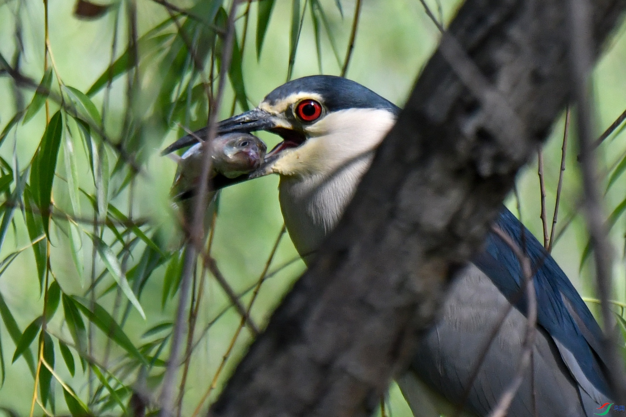 300mm2 ����2_����.jpg