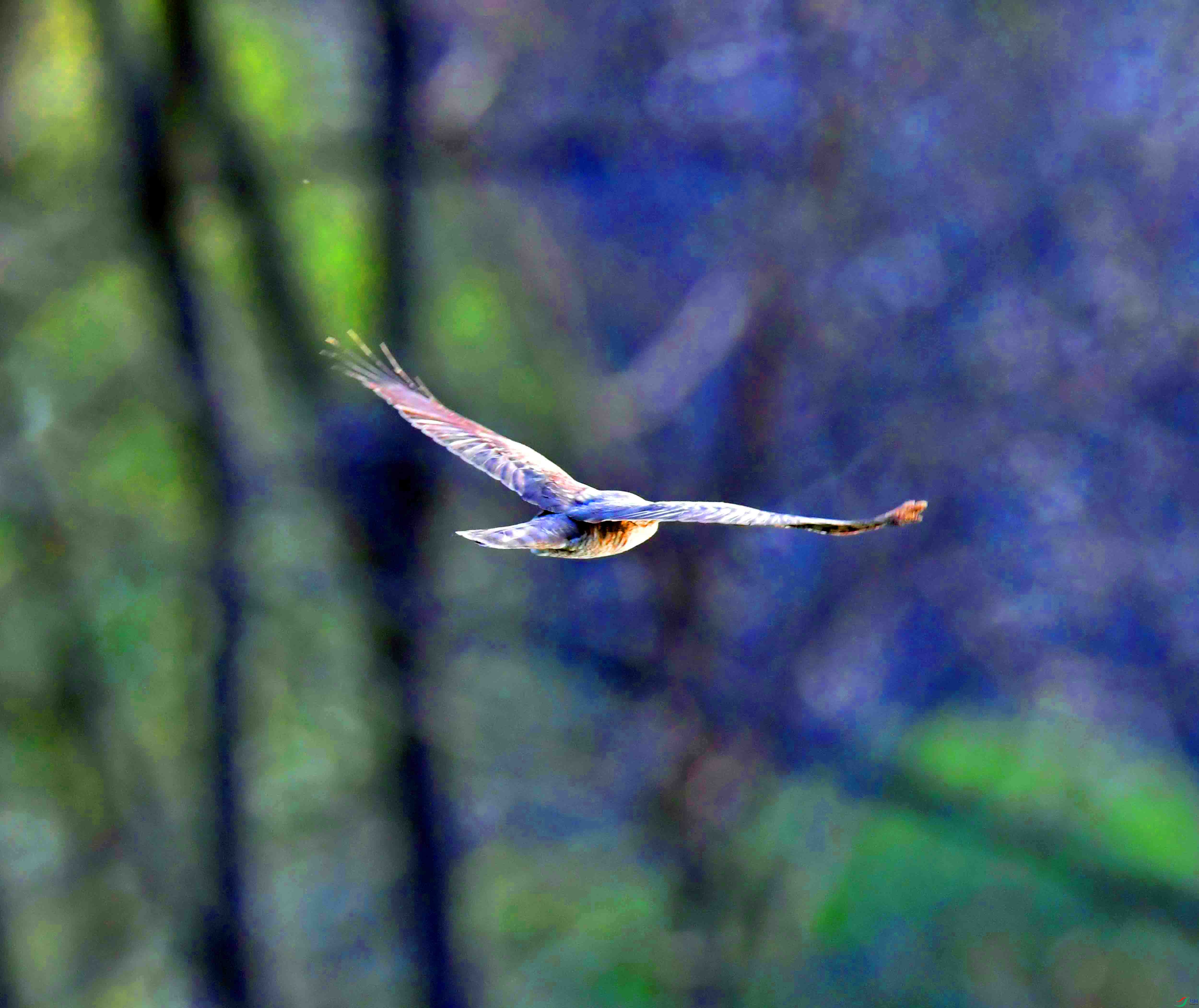 DSC_1037.JPG
