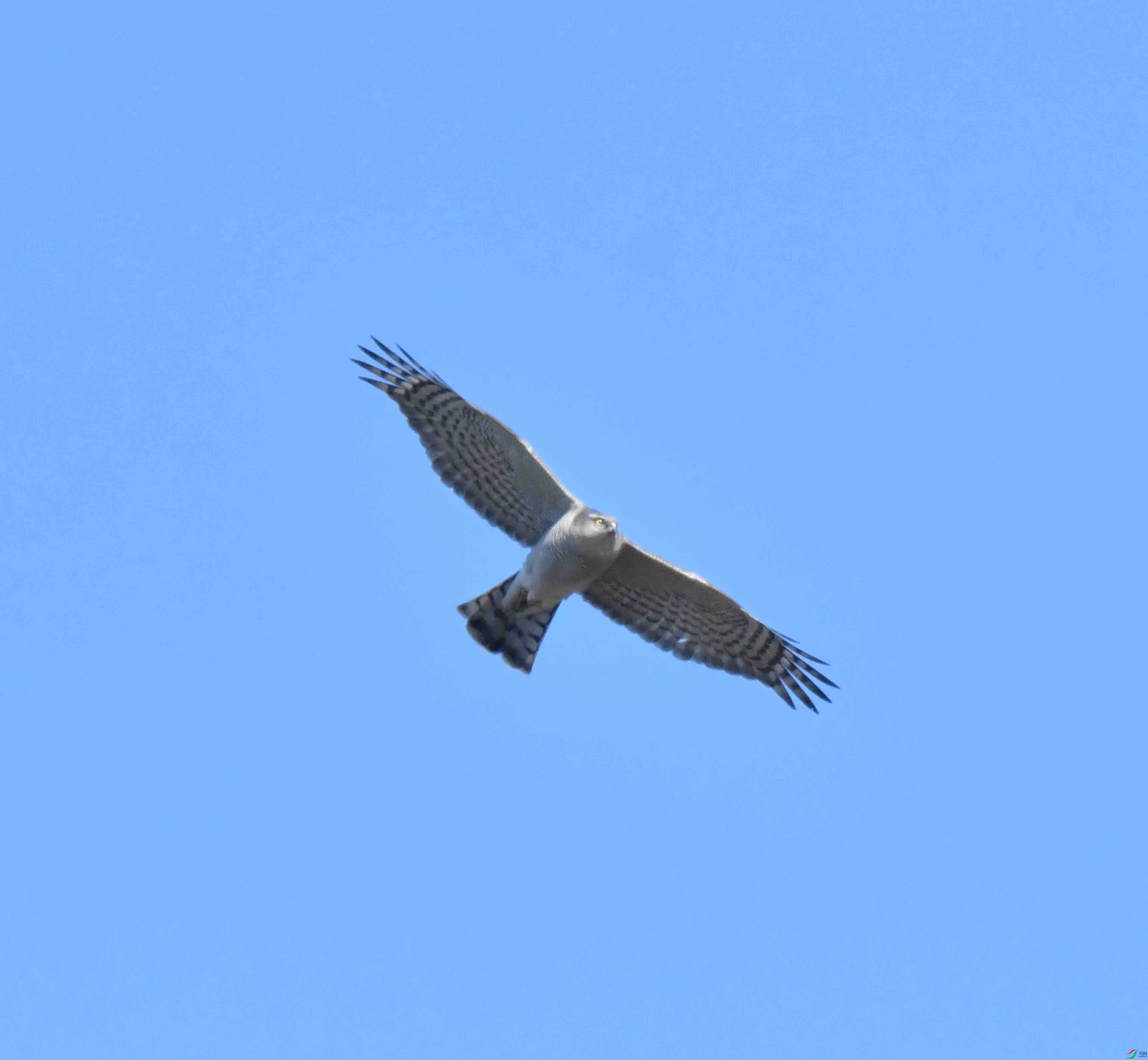 DSC_1038.JPG