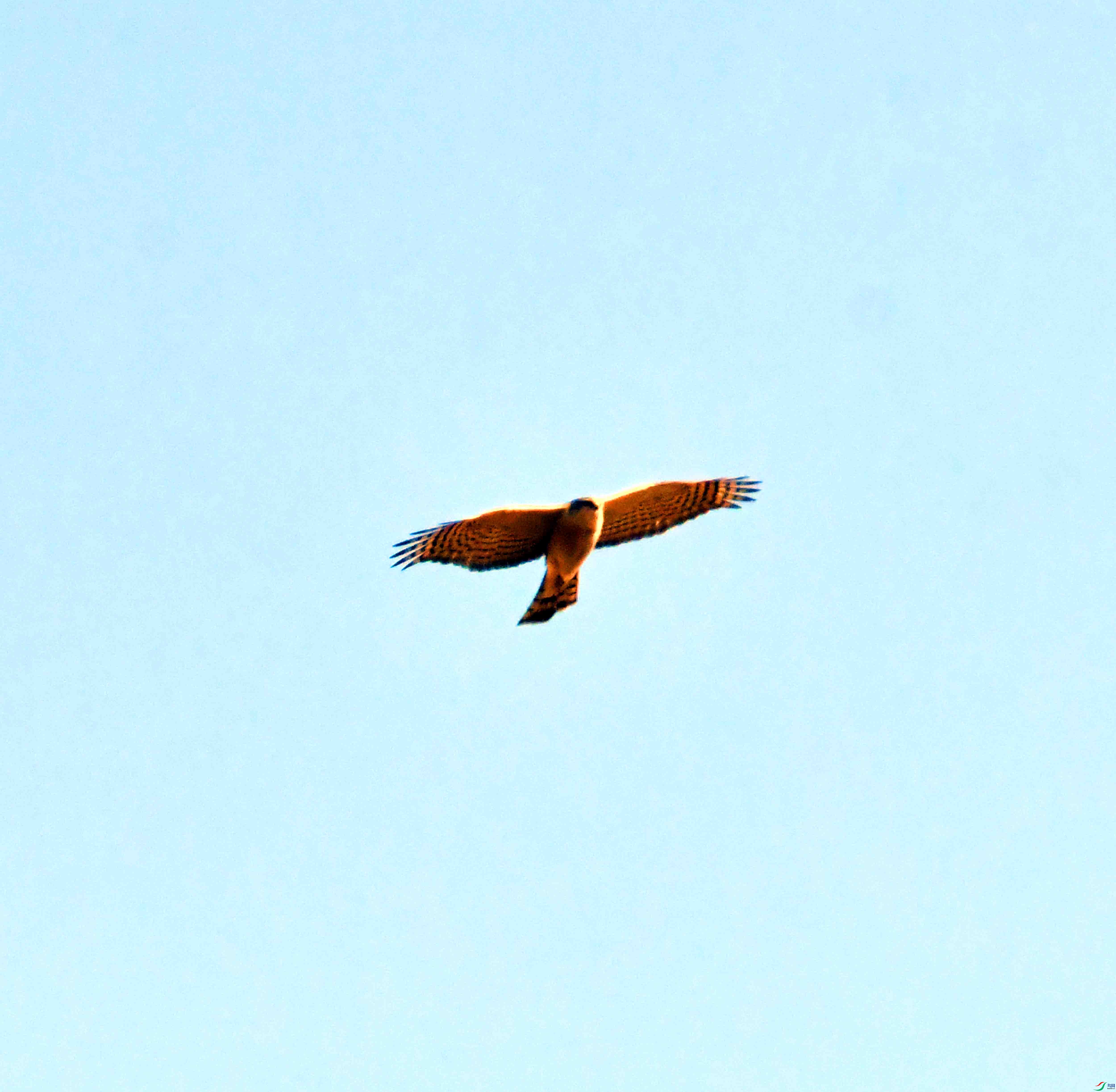 DSC_1074.JPG